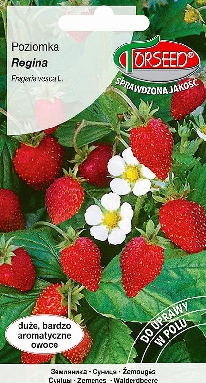 Poziomka nasiona poziomek Regina 0,2g Torseed polskie nasiona i firma