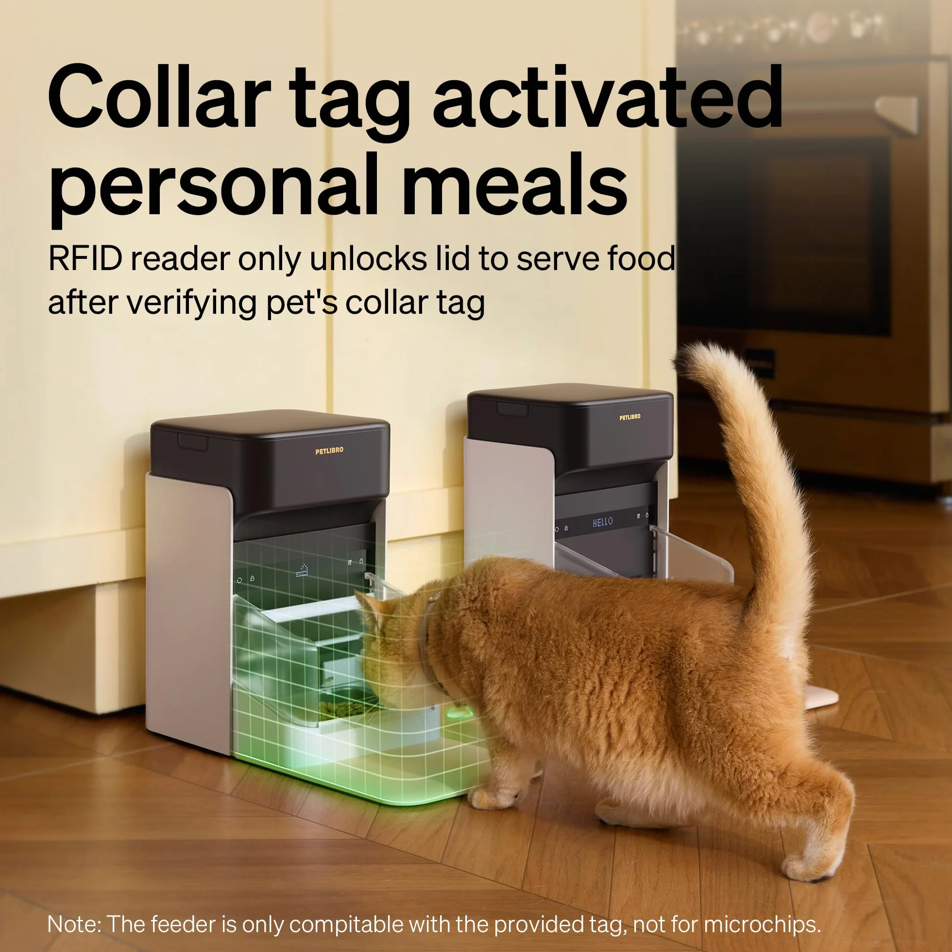 PETLIBRO RFID automatyczny karmnik dla kotów 5G Wi-Fi Collar-Tag dla wielu zwierząt