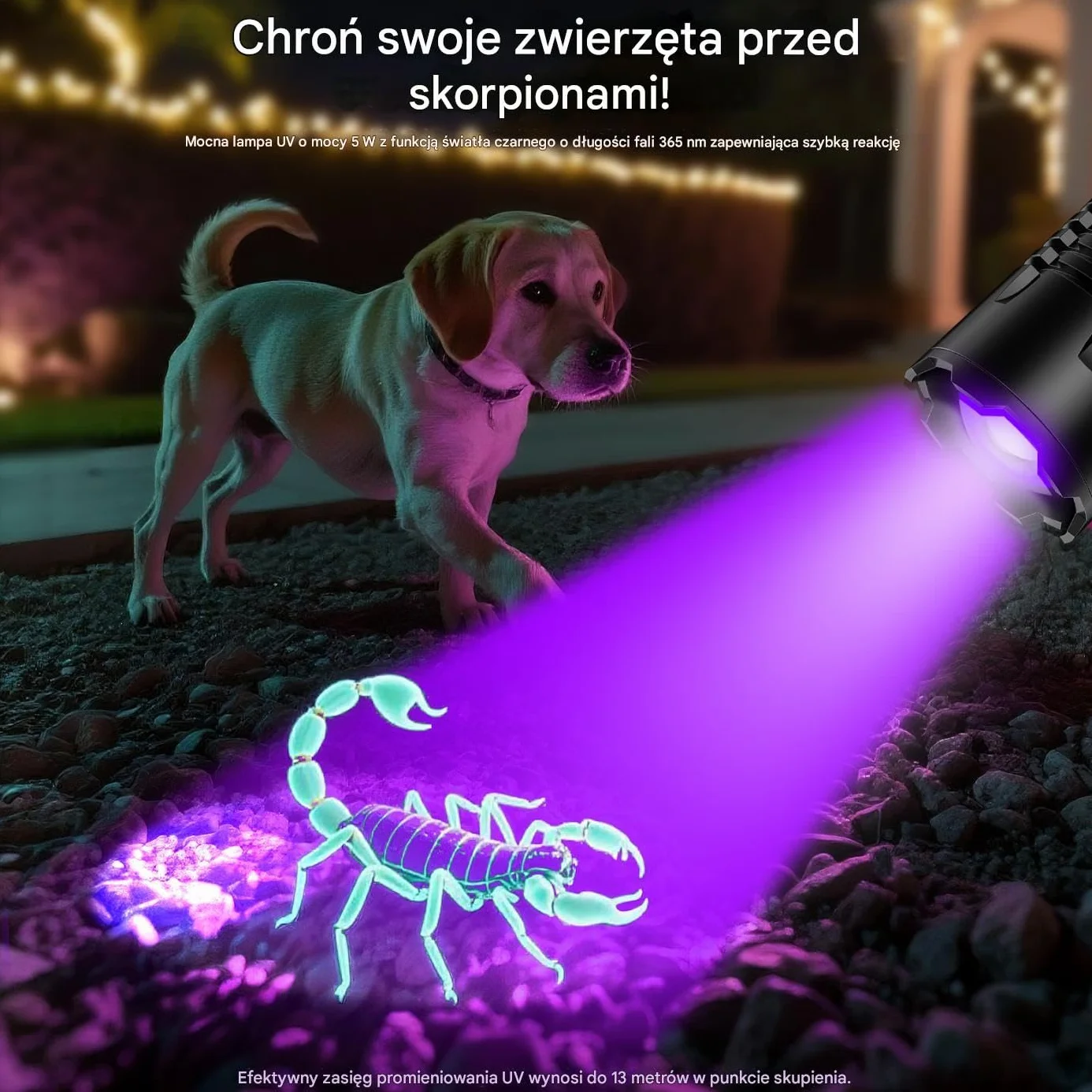 Latarka LED z UV 395nm 2w1, Doładowywana, Ekstremalnie Jasna, Długa żywotność baterii, wodoodporna, z zoomem, 6 trybów światła ultrafioletowego/czarnego do outdooru, wykrywania moczu zwierząt