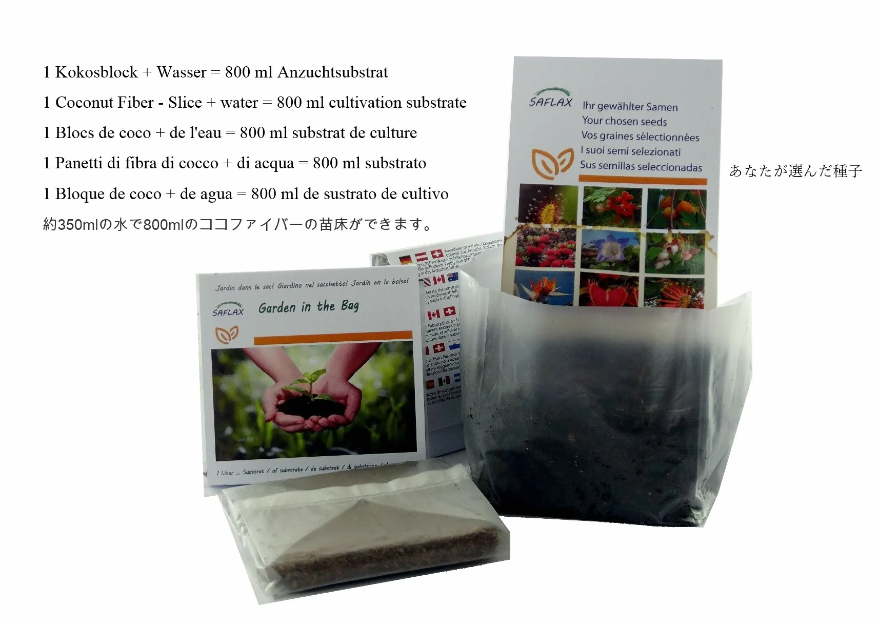 SAFLAX - Ogród w torbie - Australijski Wiatraczek - 20 Nasiona - Z rosnącym podłożem w praktycznej, samowznoszącej torbie. - Stenocarpus sinuatus