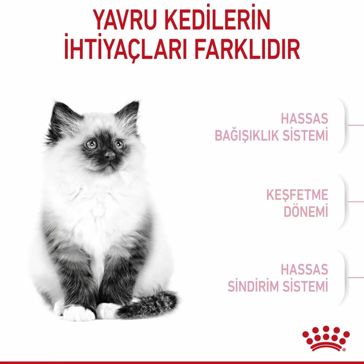 Royal Canin C-58430 Kot - 400 gr