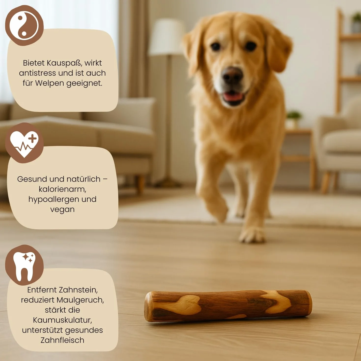 PetLove Drewno do Żucia dla Psów z Drewna Oliwkowego • Drewniane Kości Jako Zabawka • Pielęgnacja Zębów i Zabawka do Żucia • Rozmiar: M (100 – 220 g) • Idealne