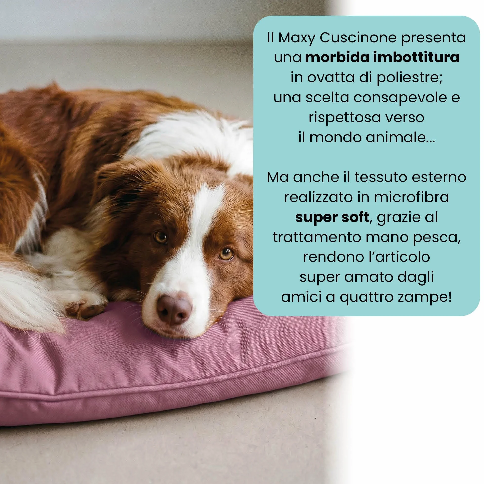 Stripey Finds Italian Bed Linen Dogs Maxy poduszka, 60 x 100 cm, liliowa