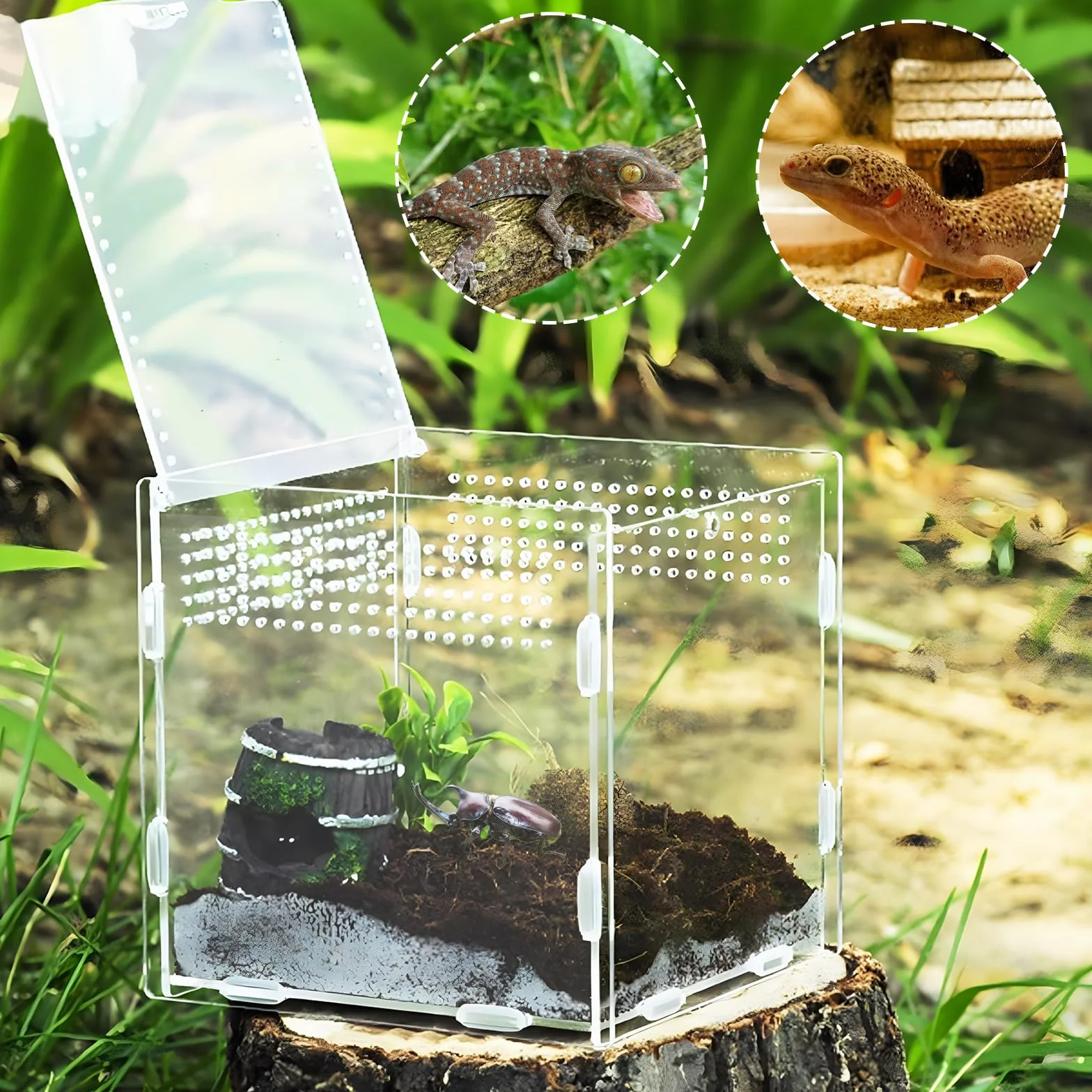 Pudełko na terrarium na gady, pudełko na owady, przezroczyste akrylowe pudełko na zwierzęta z gadami, 360 stopni, pojemnik na Spide, jaszczurkę, pojemniki na skorpion (9 x 9,5 cm)