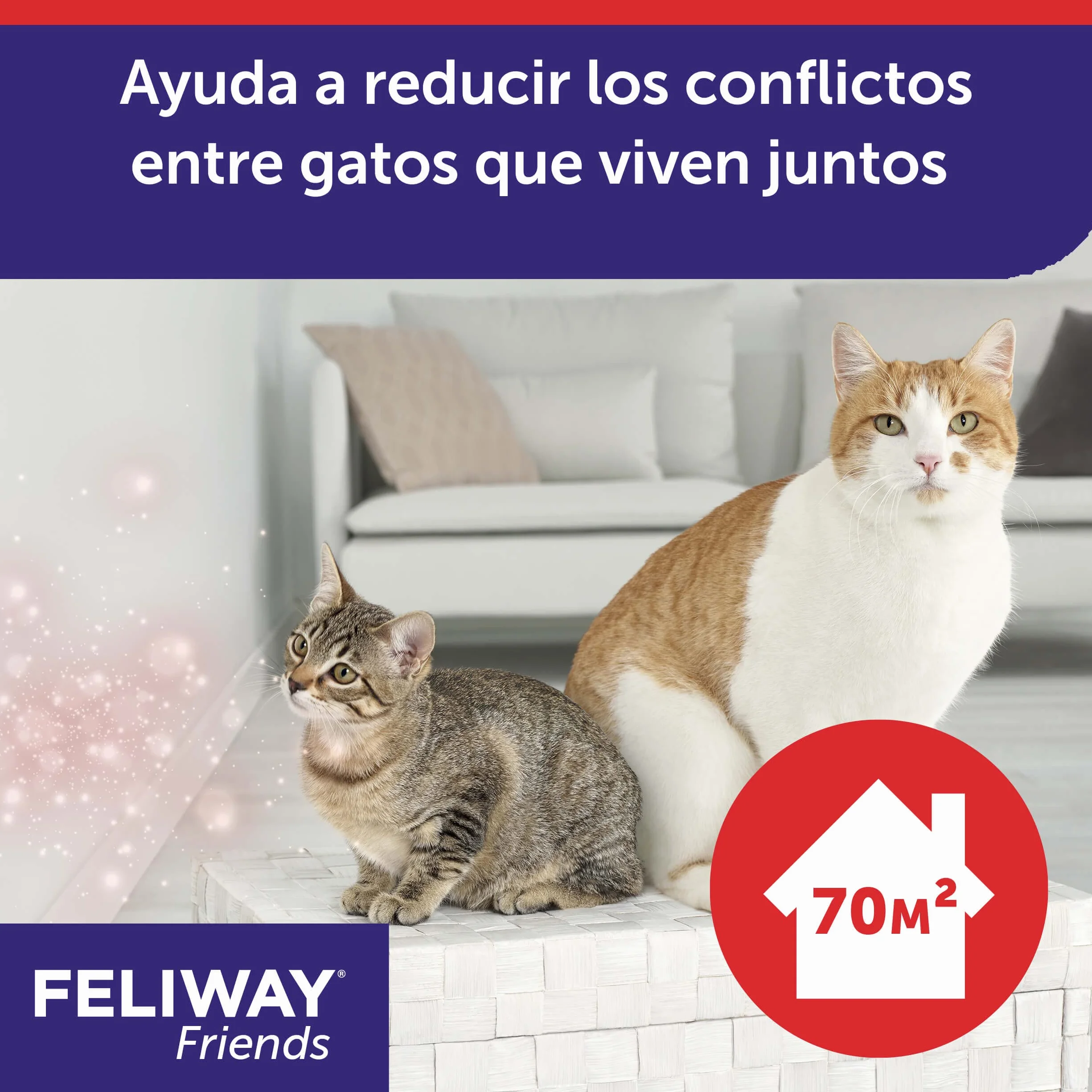 CEVA - Refill Feliway Friends