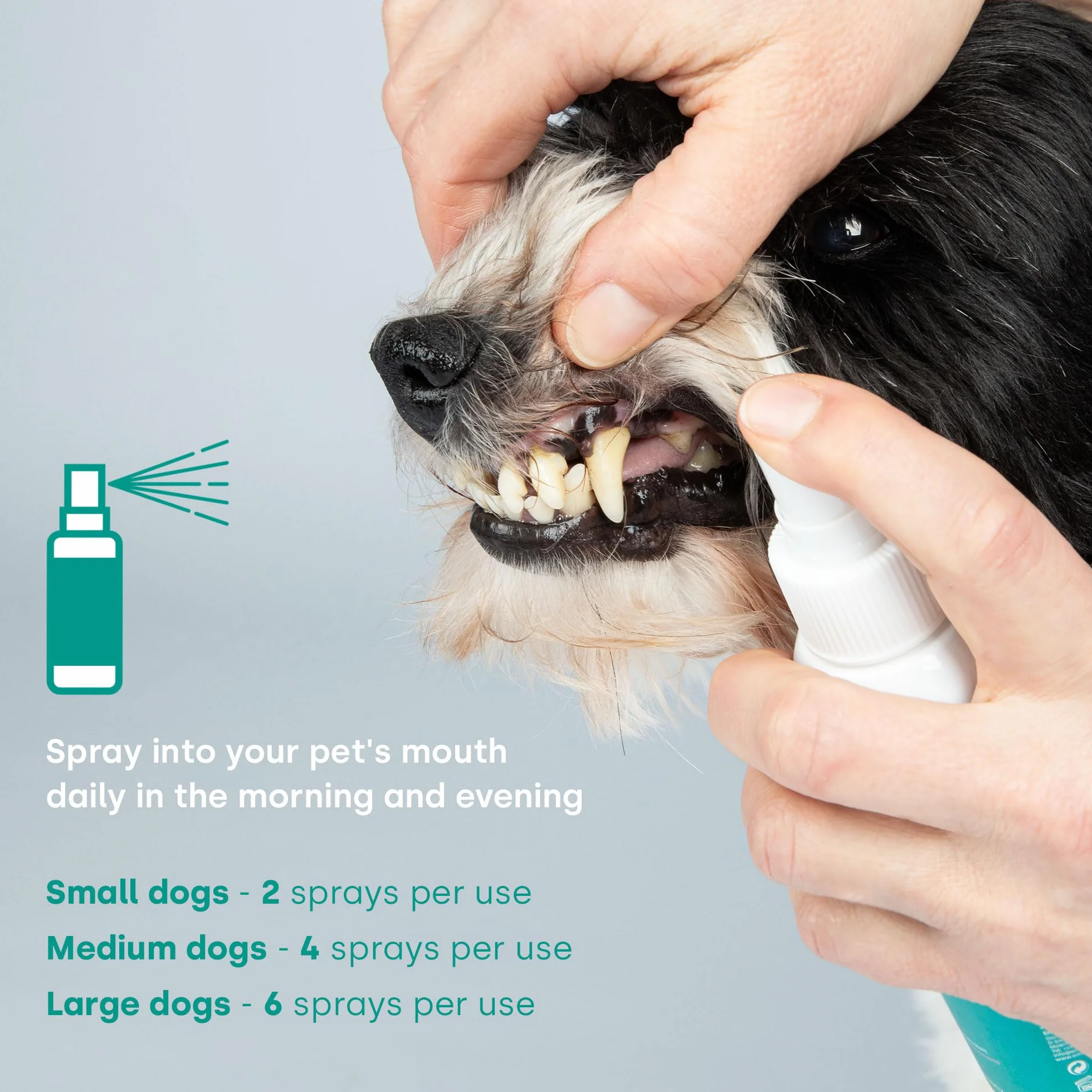 Emmi-pet Dentalspray dla psów Pielęgnacja zębów Zmniejsza kamień nazębny Wegański naturalny