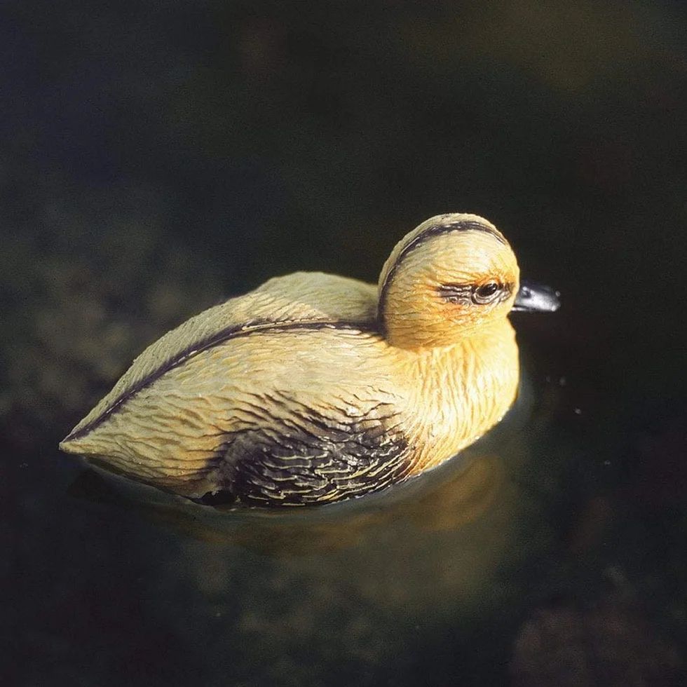 Oase 36863 Figurka do stawu pisklęta kacze | dekoracja stawu | zwierzę | natura