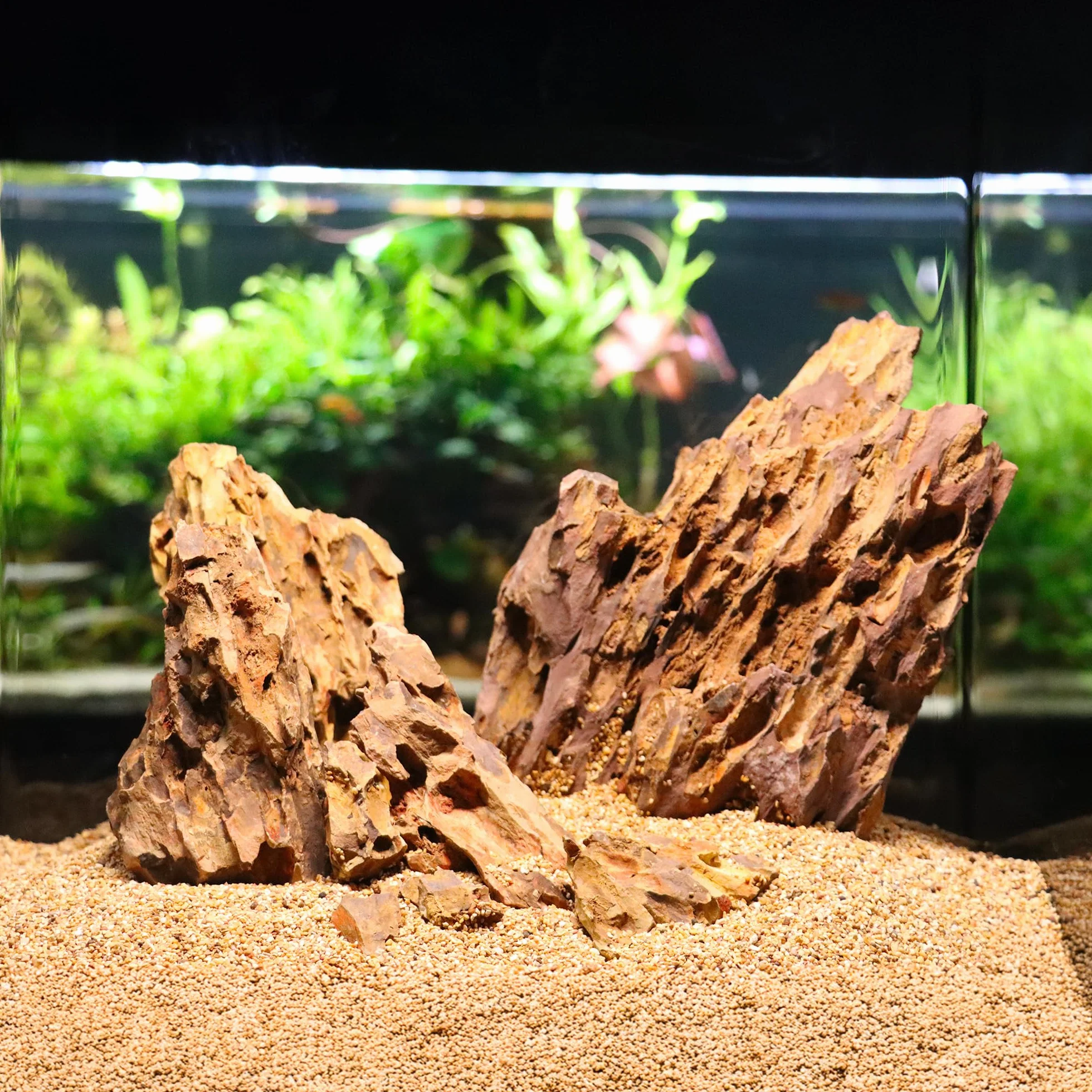 Amtra Bambusowa skała - naturalna dekoracja do akwarium Wild, bez wapienia, idealna do ogrodu Zen, 3,5-6 kg