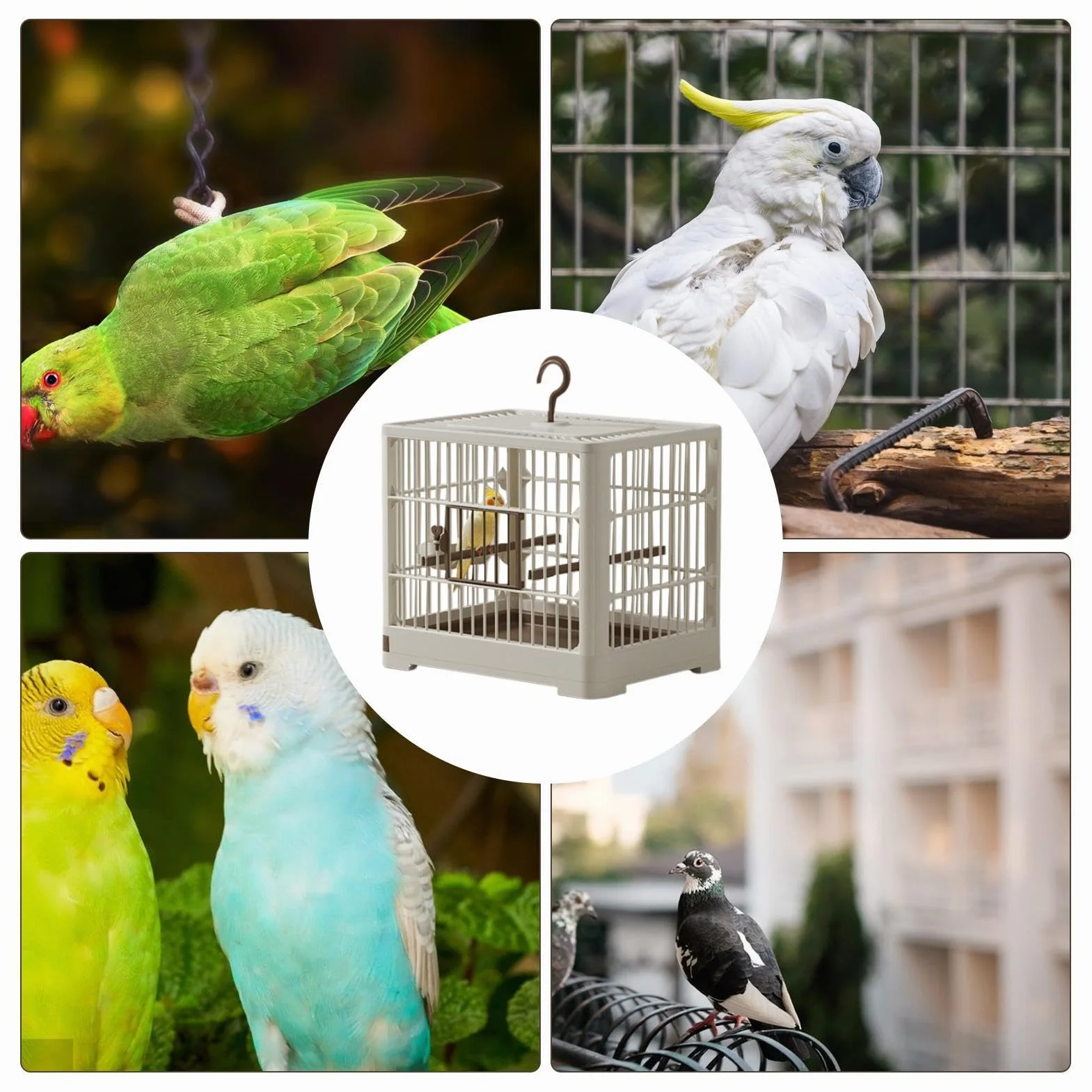 Przenośny nosidełko dla ptaków, stojak na ptaki, zdejmowany transporter tacy, uchwyt z haczykiem, klatka transportowa papużki, transporter podróżny papugi, transporter ptaków Lovebird