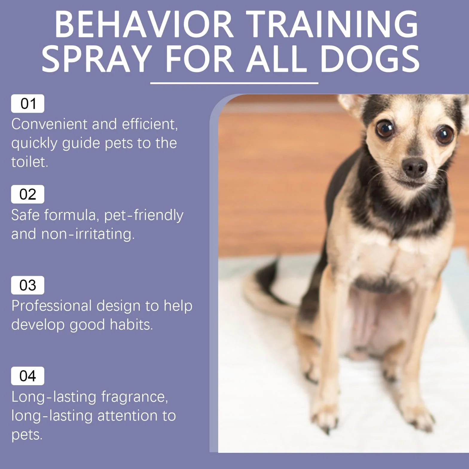 Dog Pee Training Spray, Puppy Potty Training Solution for Dogs