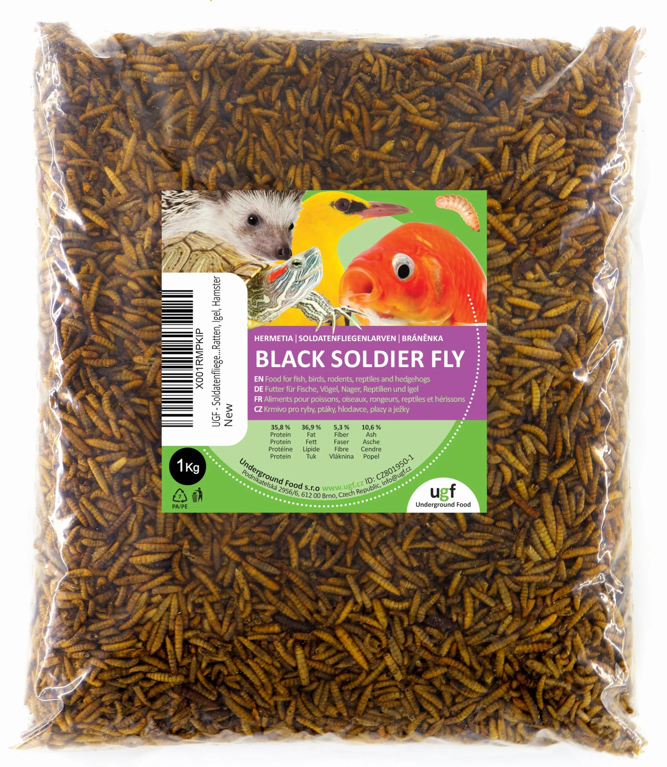 Hermetia BSFL larwy muszek żołnierskich 1 kg karma dla dzikich ptaków żółwi szczurów jeży chomików