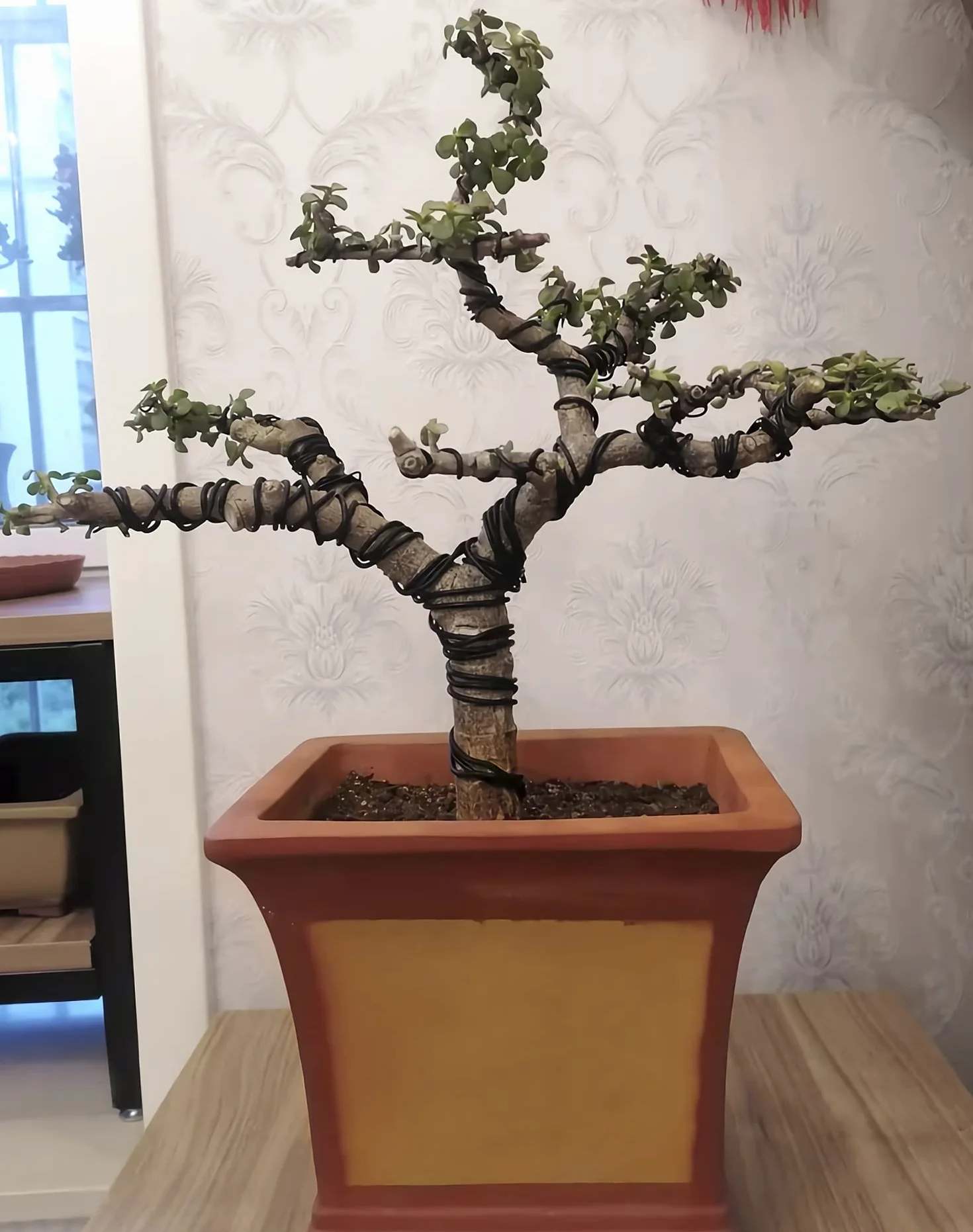 Drut QWORK® 4mm Bonsai, anodowany drut aluminiowy do kształtowania drzewek Bonsai (20m)