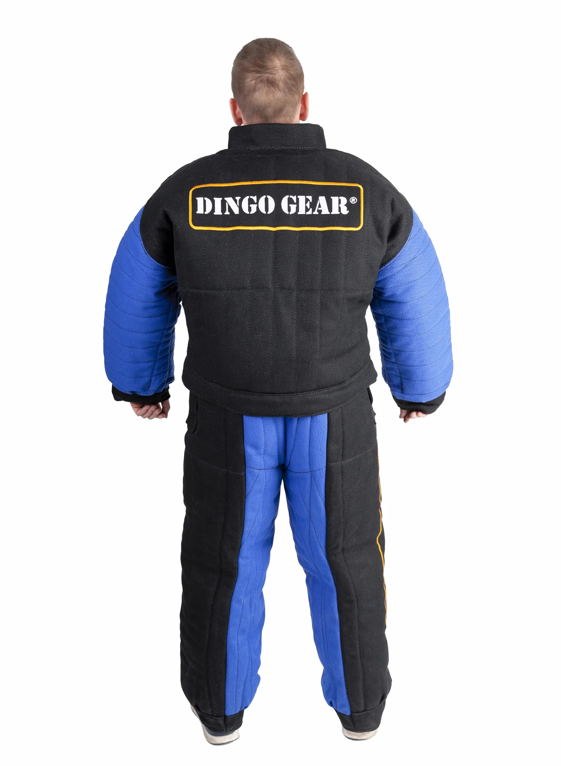 Dingo Gear pełny gryzienie garnitur do szkolenia psa K9 IGP niebieski XL
