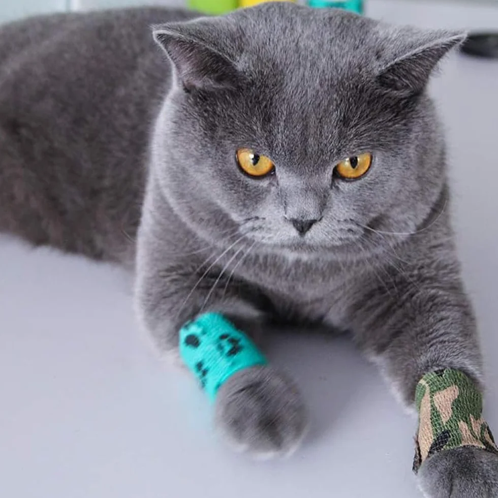 Pet Vet Wrap samoprzylepny elastyczny bandaż dla zwierząt 6 rolek 5 cm x 4,5 m