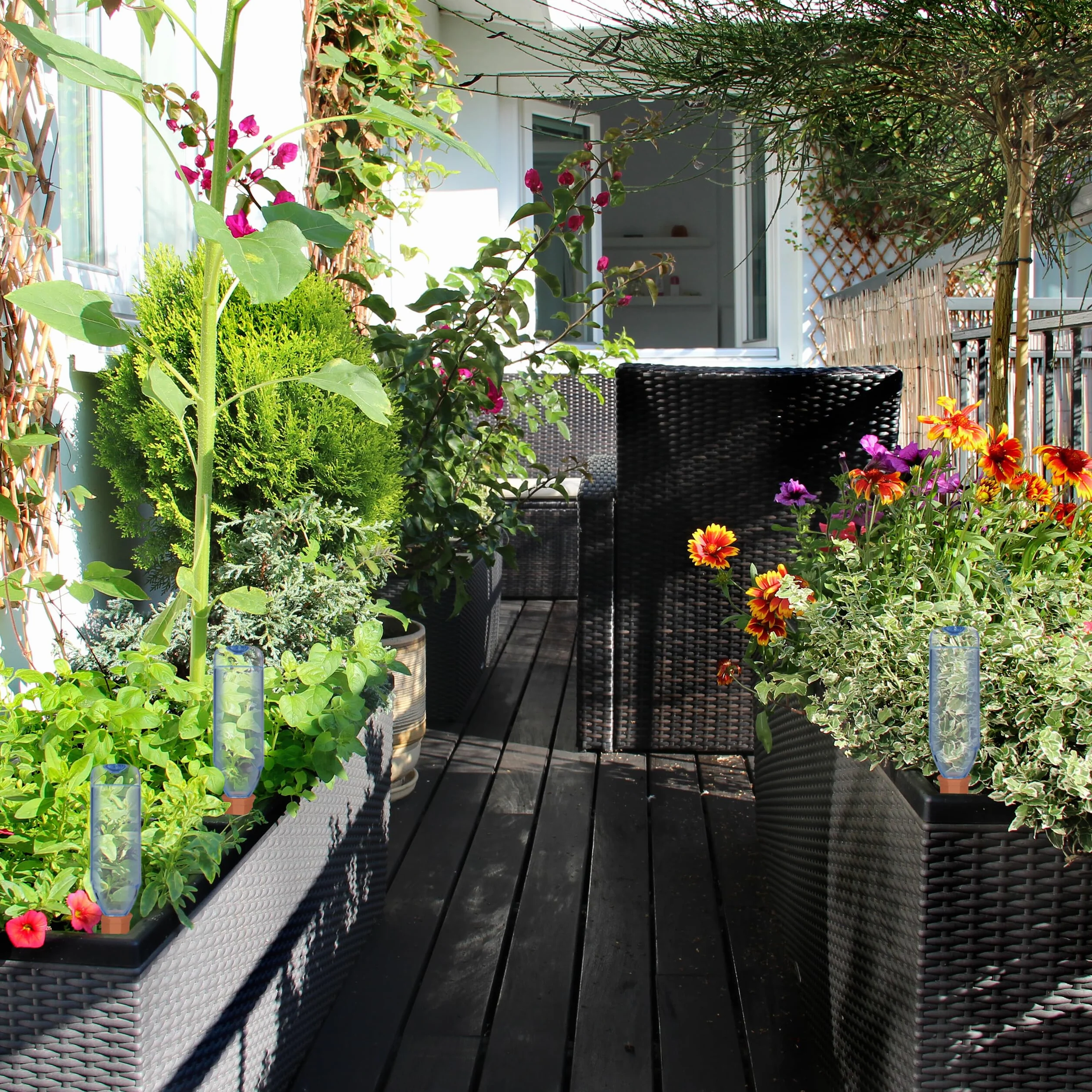 Relaxdays Stożek gliniany do nawadniania, zestaw 10 sztuk, butelki z winem i PET, rośliny pokojowe i skrzynki balkonowe, terakota