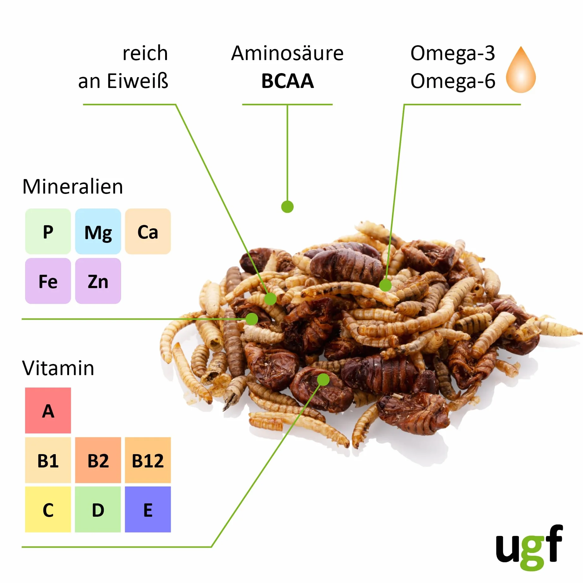 UGF - Mieszanka owadów - 500 g w wiadrze 3-litrowym, pokarm dla jeży, pokarm dla myszoskoczków, chomików, szczurów, jaszczurek - mączniki, larwy muchy żołnierskiej, jedwabniki