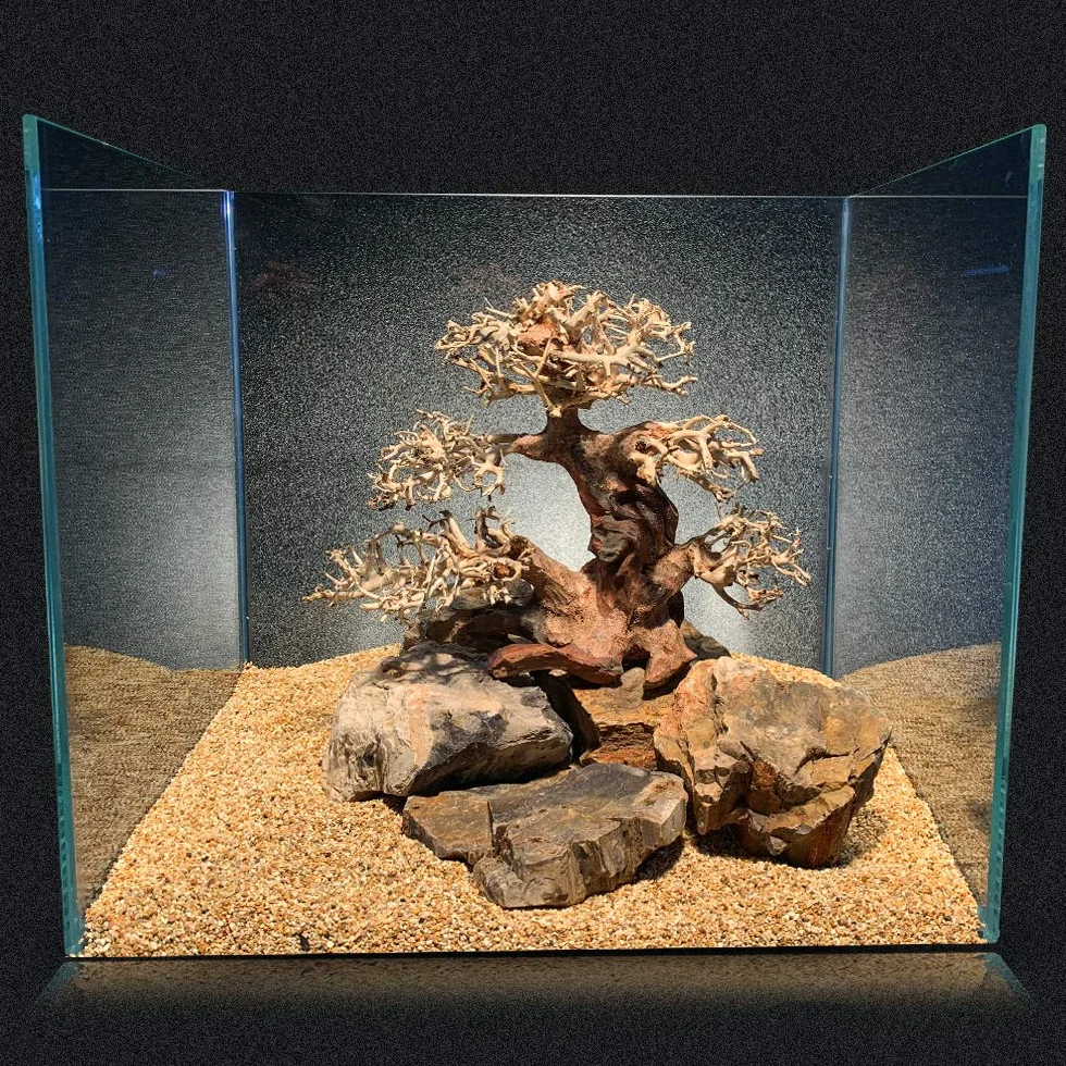 Amtra - Oriental Wind 4 Wood, Ręcznie robione, do akwarium, 23 x 10 x 17 cm