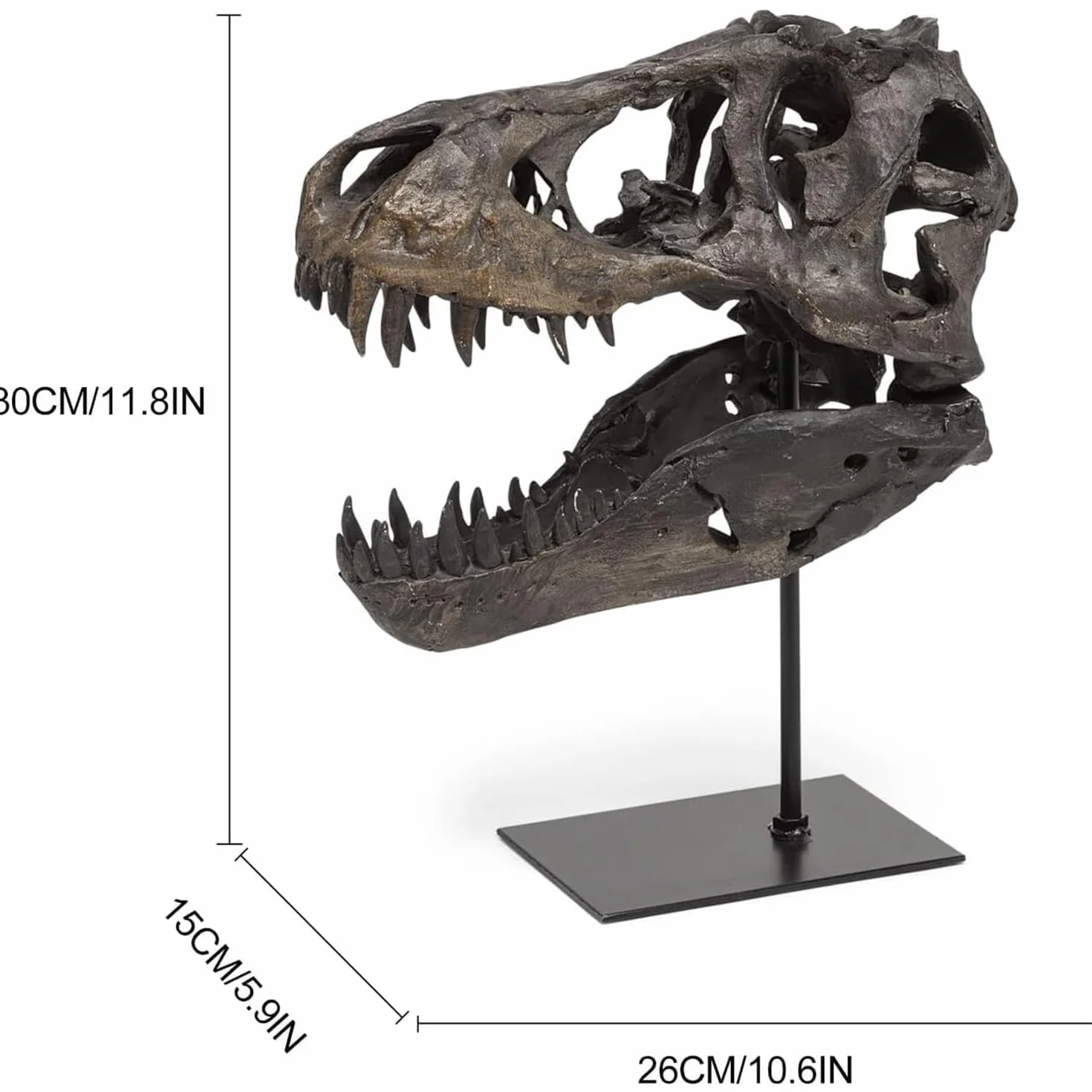 Figurka czaszki dinozaura, uchwyt na rzeźbę dinozaura, tyranozaur, czaszka, replika, dekoracja, czaszka, kość, replika żywicy, z uchwytem, do domu, biura, regału dekoracyjnego