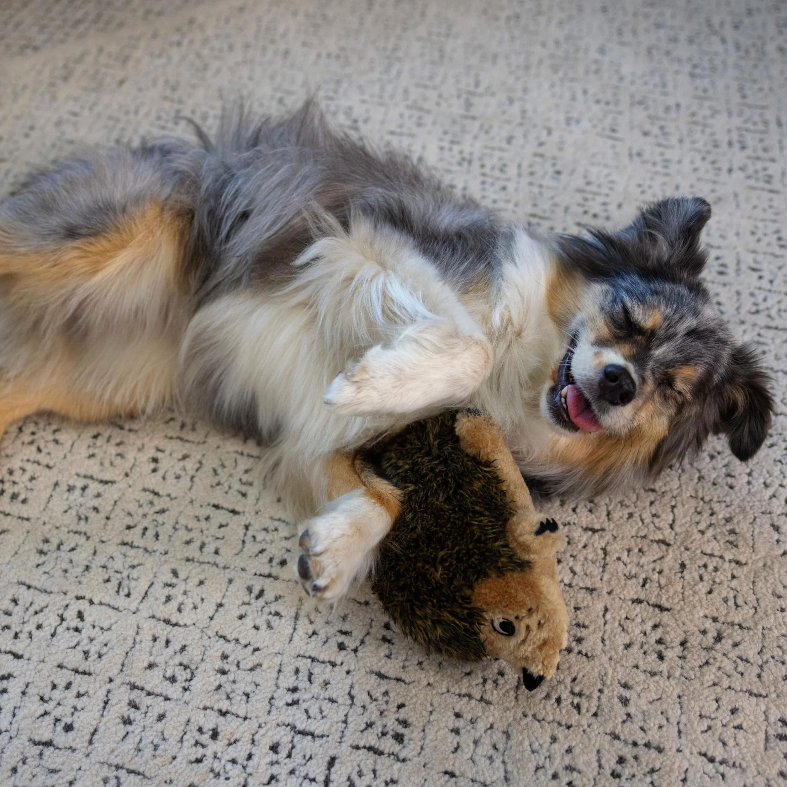 Outward Hound Hedgehogz - Zabawka pluszowa dla psów - kolor brązowy - rozmiar M