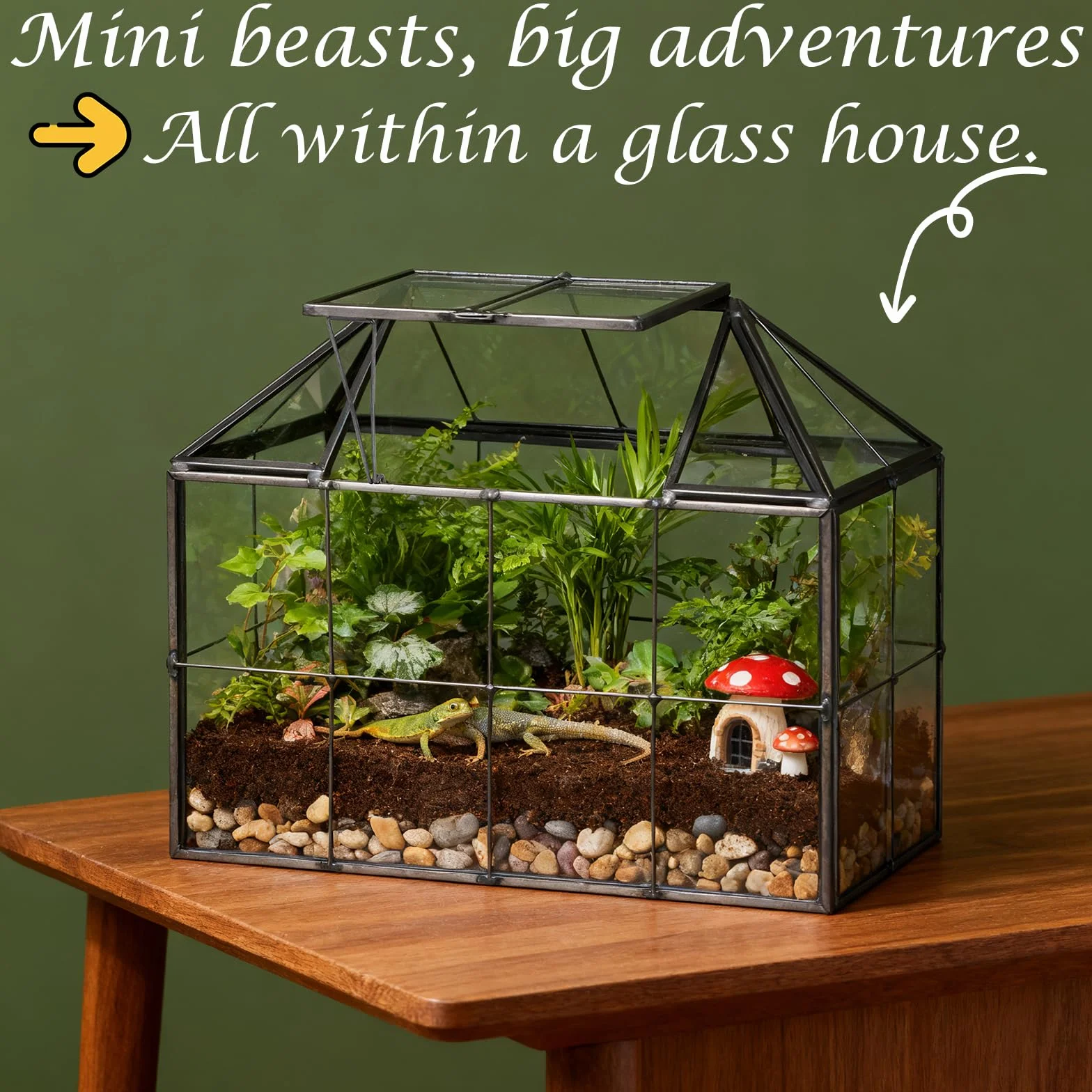 EFUTURETIME Mini szklarnia, parapet okienny, szklany 23,3 x 13,6 x 18 cm, do roślin, terrarium, mały ogród butelkowy, "zrób to sam" (nie zawiera roślin) na sukulenty, kaktusy