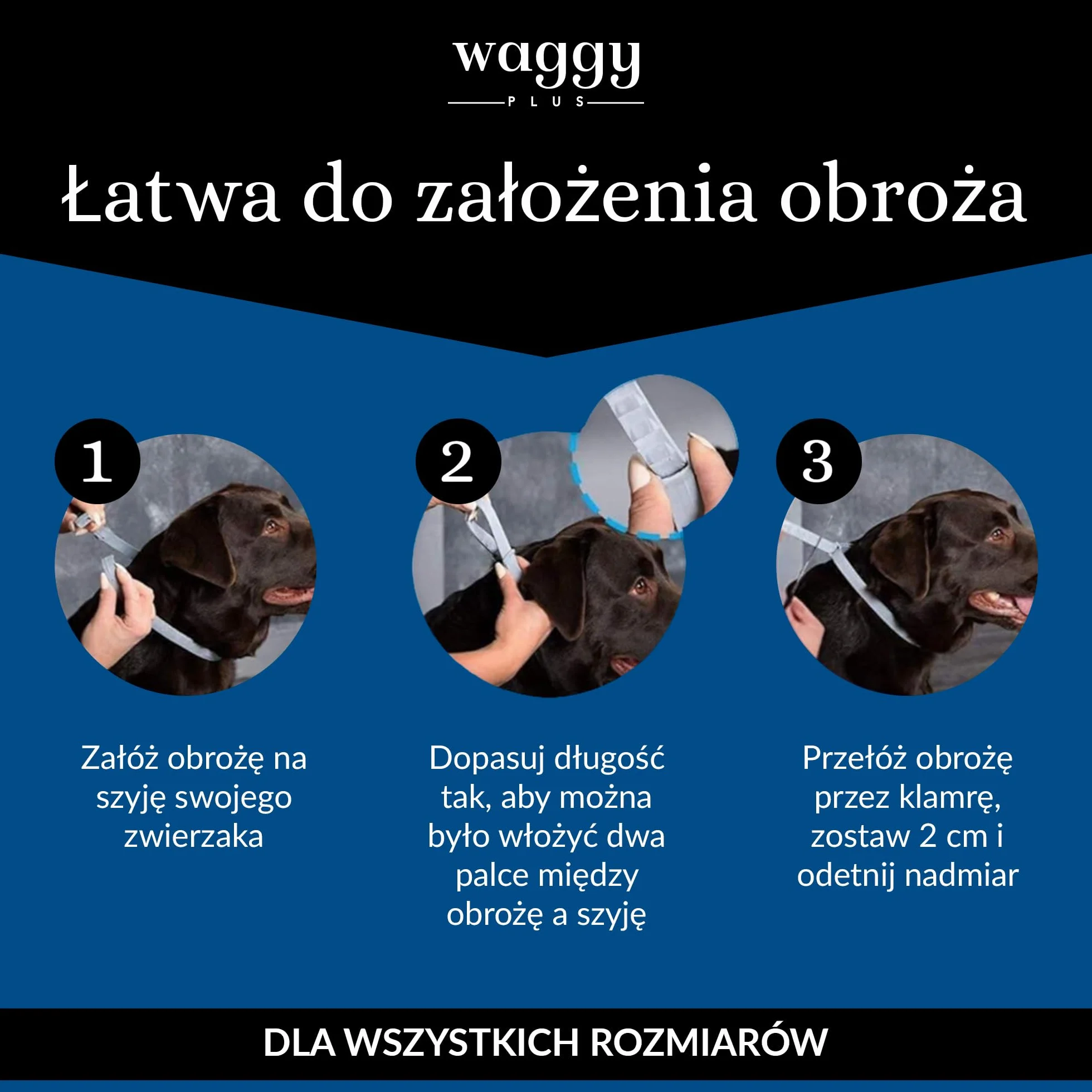 Obro탉a przeciw paso탉ytom dla 힄rednich i ma흢ych ps처w. Skuteczna ochrona Twojego zwierzaka przed pch흢ami, kleszczami, larwami, wszy i komarami. 100% naturalna.