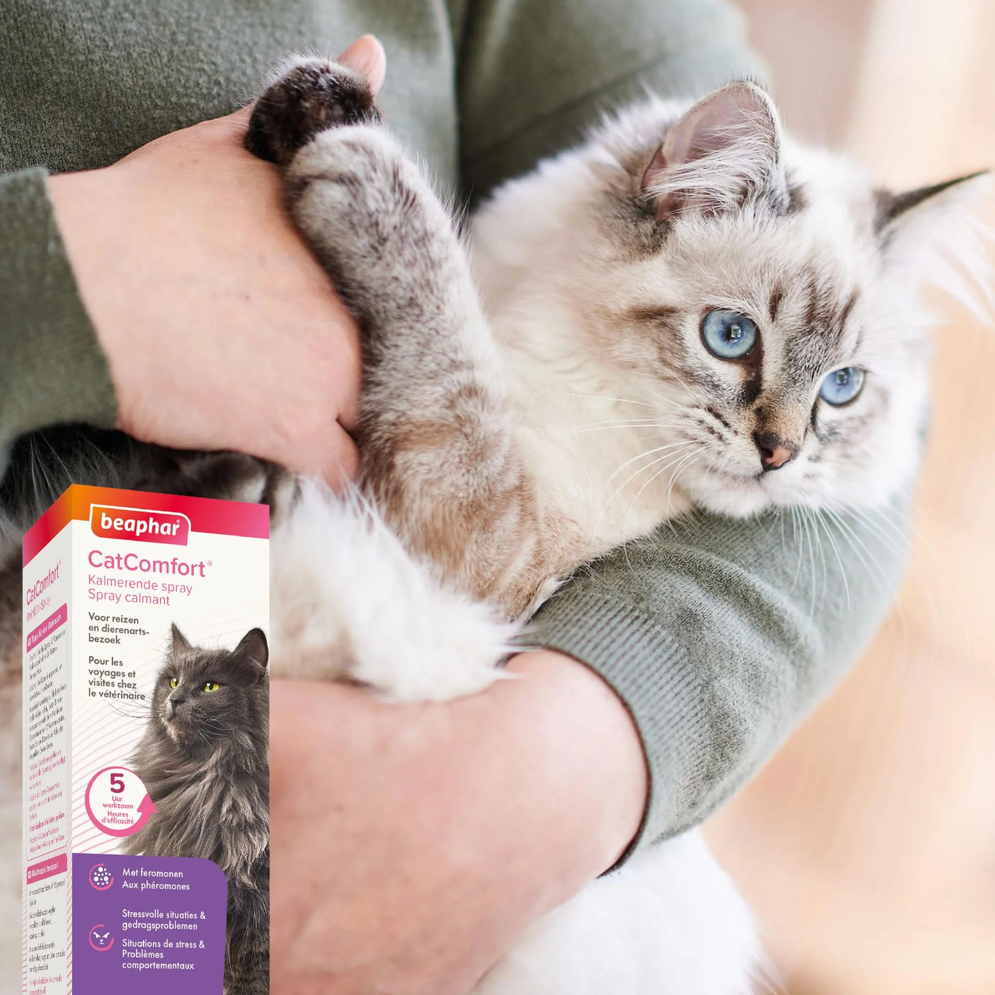 Beaphar CATCOMFORT feromonowy spray uspokajający dla kota 30 ml