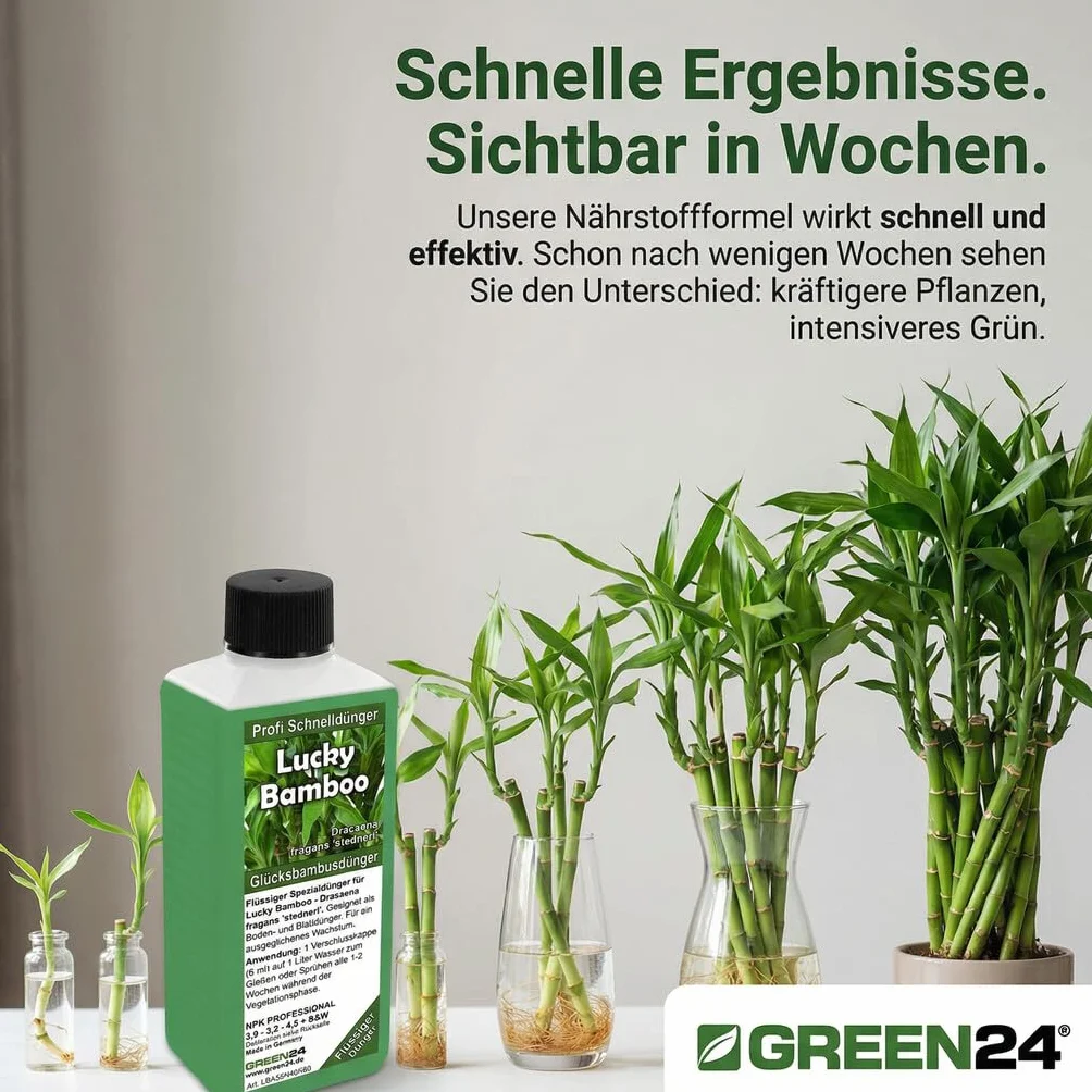 GREEN24 Lucky Bamboo nawóz na szczęście, specjalny nawóz High-TTech NPK, profesjonalna linia do nawożenia bambusa Dracaena sanderiana