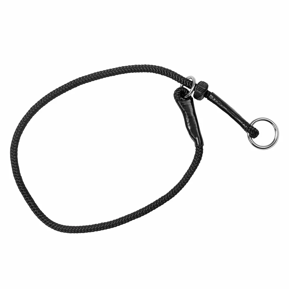 Dingo Gear S04060 obroża do treningu psów wodoodporna czarna rozmiar M