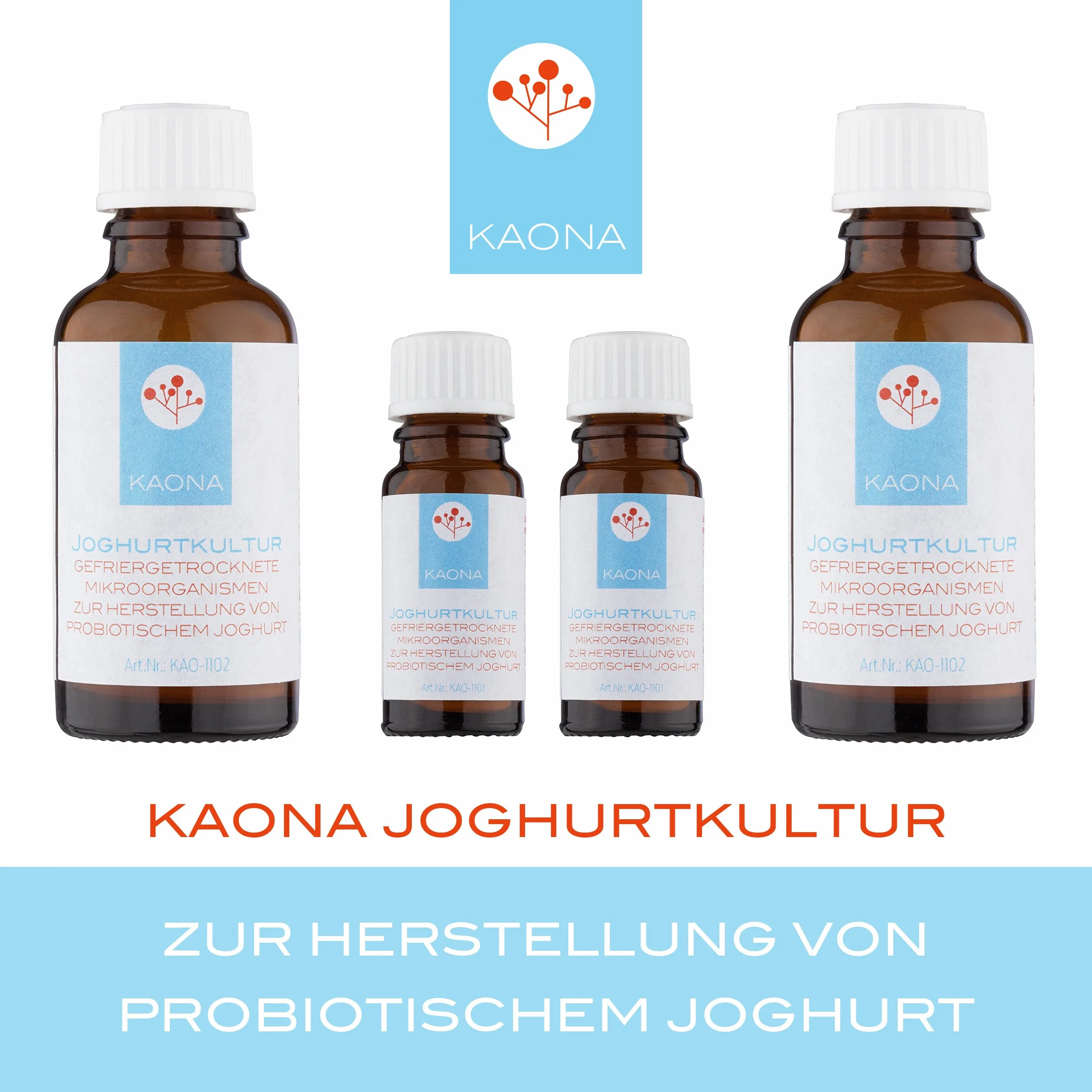 Kultura jogurtu - ferment do produkcji probiotycznego jogurtu (10 g proszku)