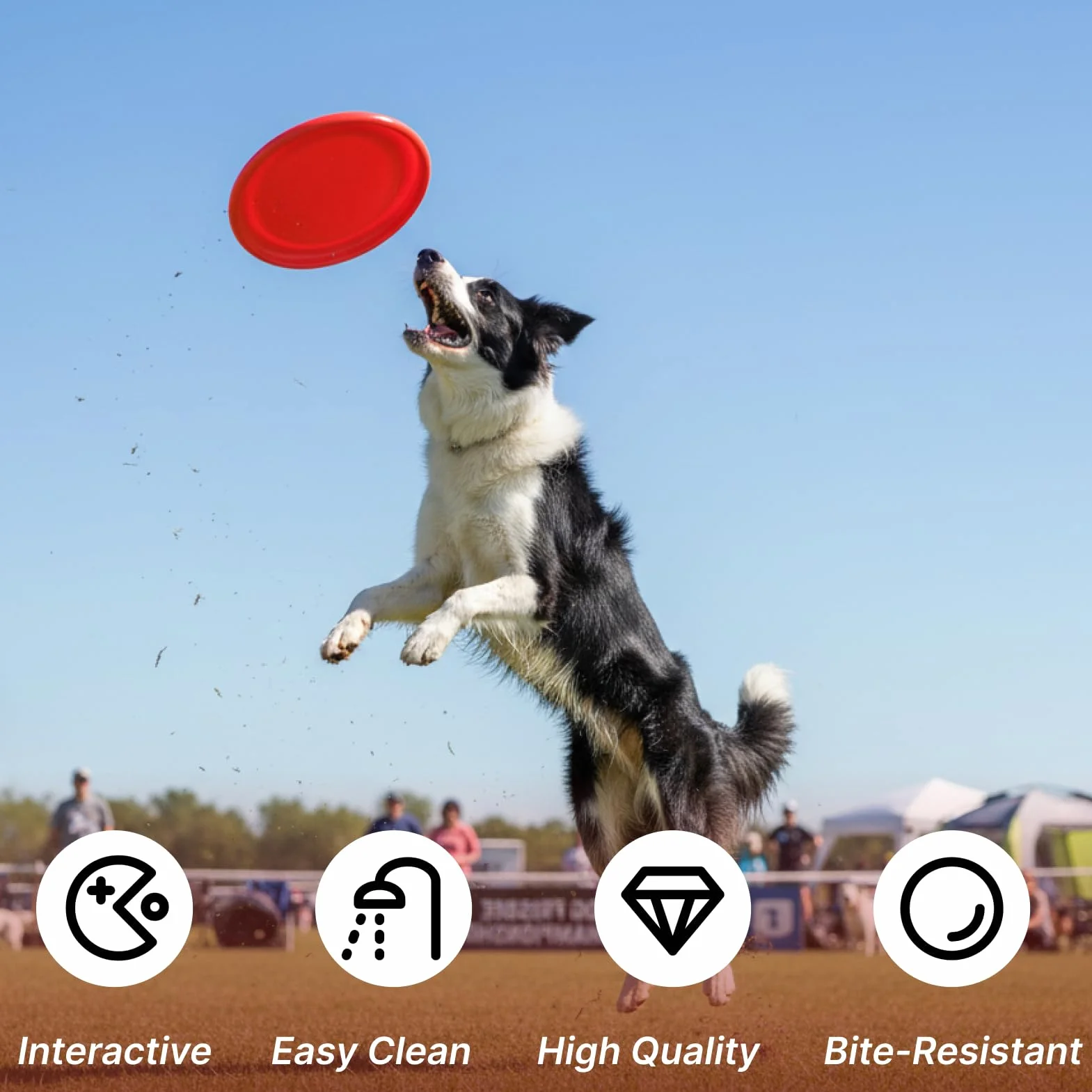 Frisbee Pies z naturalnego kauczuku dla małych i średnich psów, czerwona