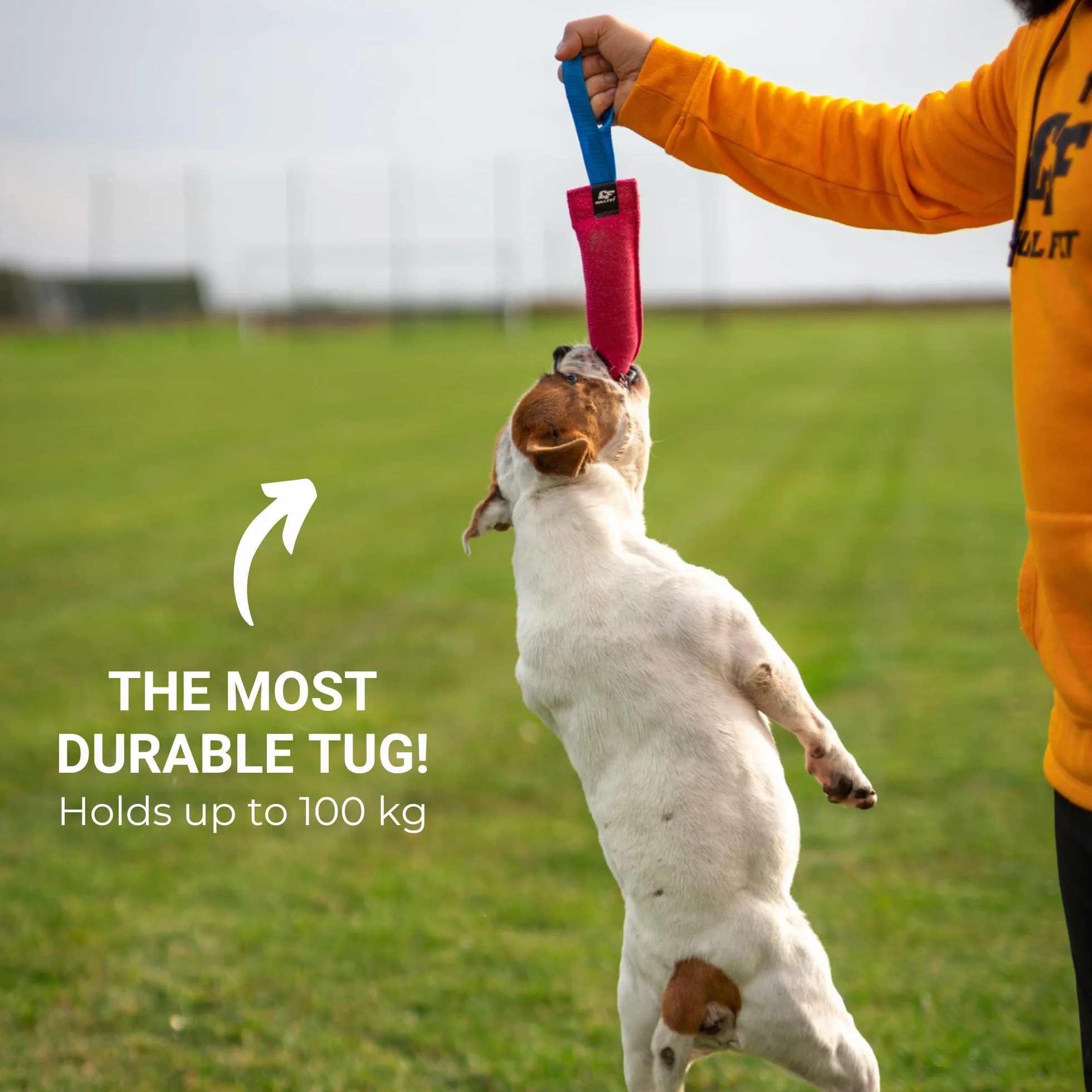 Bull Fit Szarpak dla psa 30 cm zabawka trening obronny kynologia sportowa materiał ringowy czarny