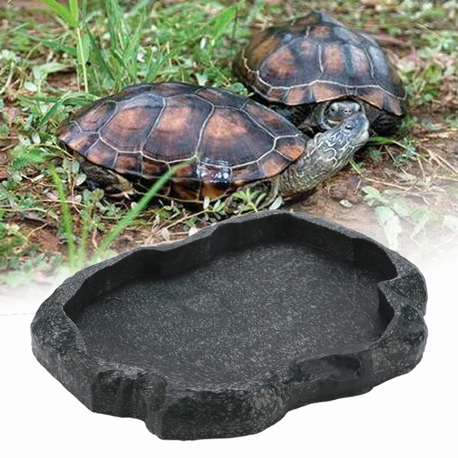 Plastikowy Karmnik dla Gadów Miska na Jedzenie i Wodę dla Jaszczurki Gecko Brodaty