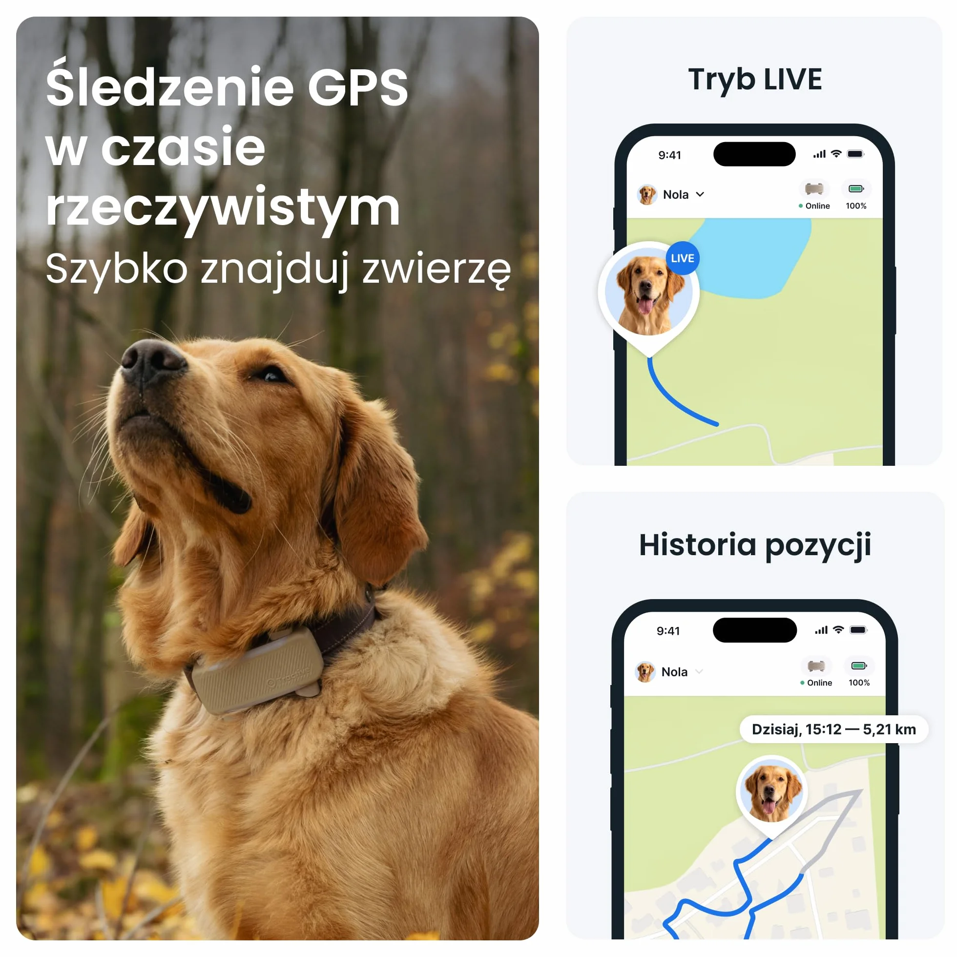 Tractive — Inteligentny Lokalizator dla Psa XL | 2026 Edition | Śledzenie GPS na Żywo | Alerty o Ucieczce i Zdrowiu | Monitorowanie Parametrów Życiowych | Długi Czas Działania Baterii (brązowy)