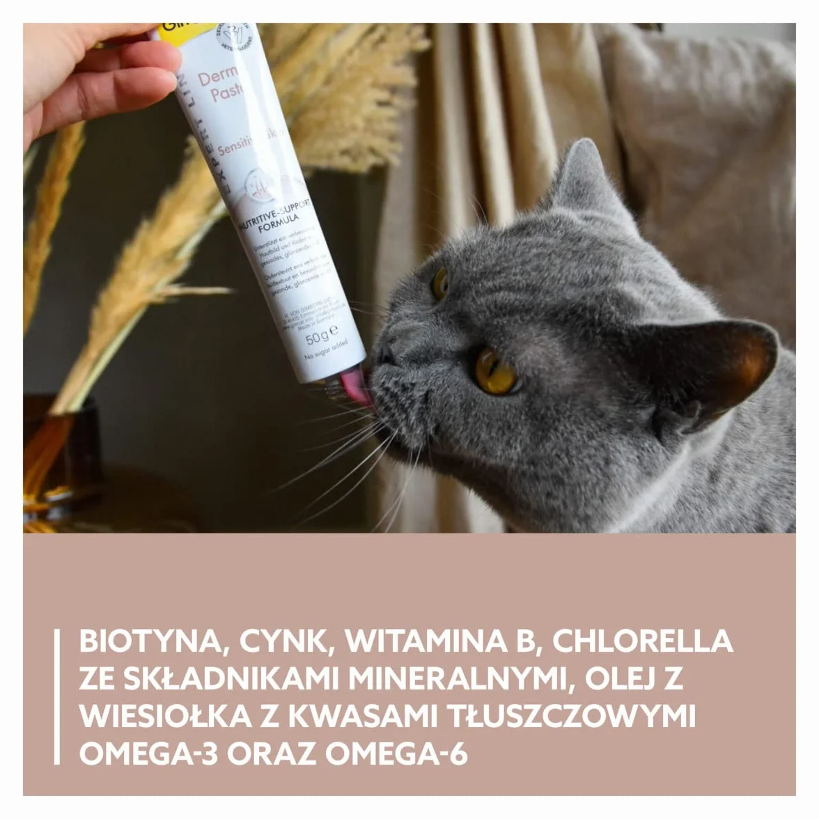 GimCat EXPERT LINE Derma pasta - Funkcjonalny przysmak dla kotów wspomagający zdrowie skóry i sierści - 1 tubka (1 x 50 g)