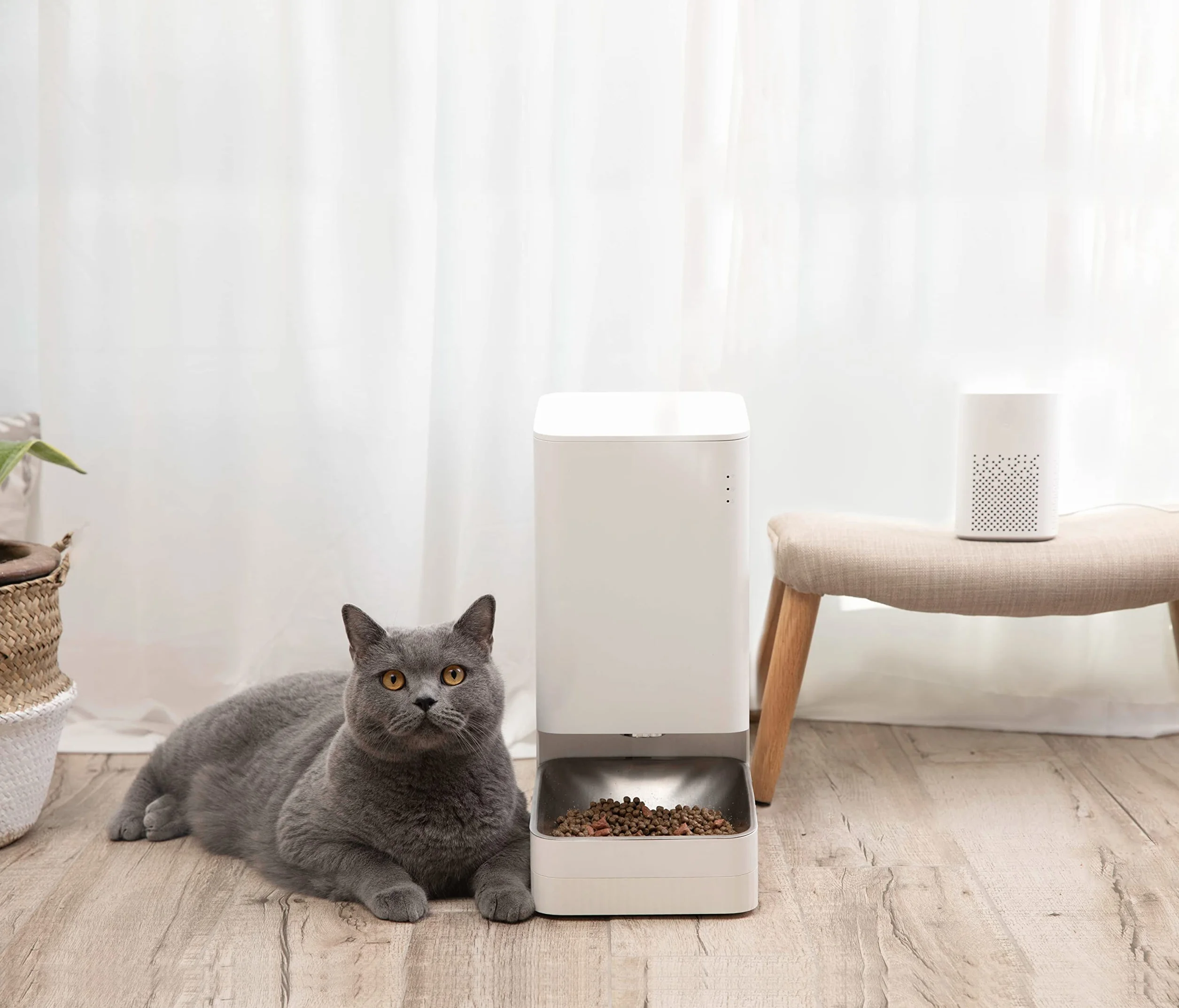 Xiaomi Smart Pet Food Feeder EU