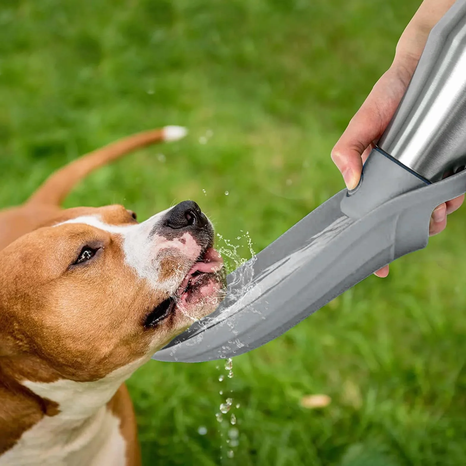 Przenośna butelka dla psa ze stali nierdzewnej 750 ml szara