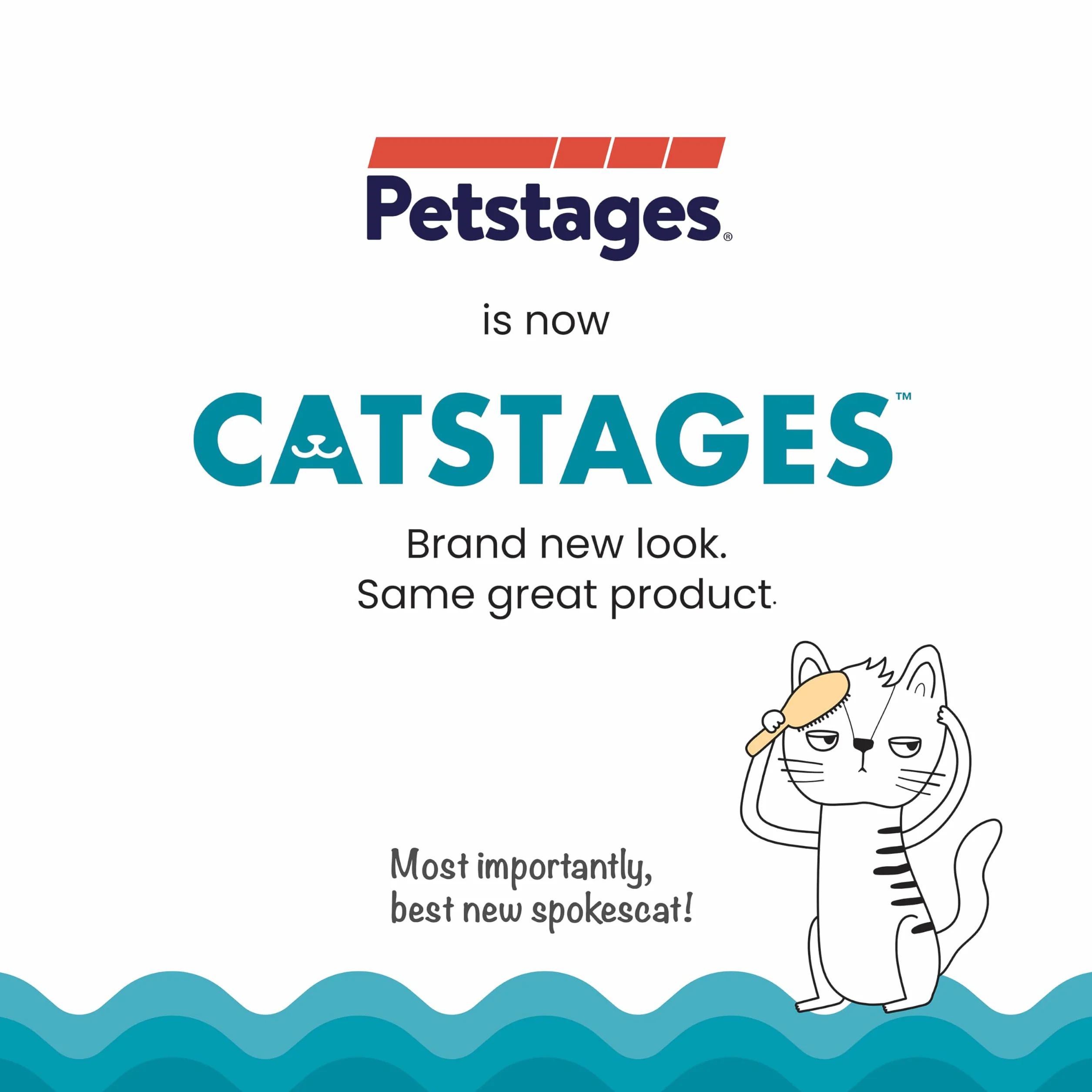 Petstages Catnip Dental Gryzak dla kota 2-pak