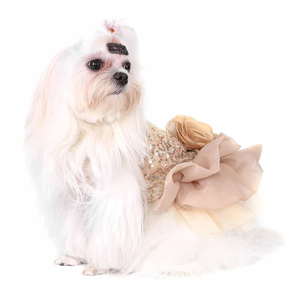 Sukienka dla psa Pet Cekiny Jedwabiste Tutu Kostium dla szczeniąt Pies Księżniczka Elegancka spódnica Kostium ślubny Złoty XL