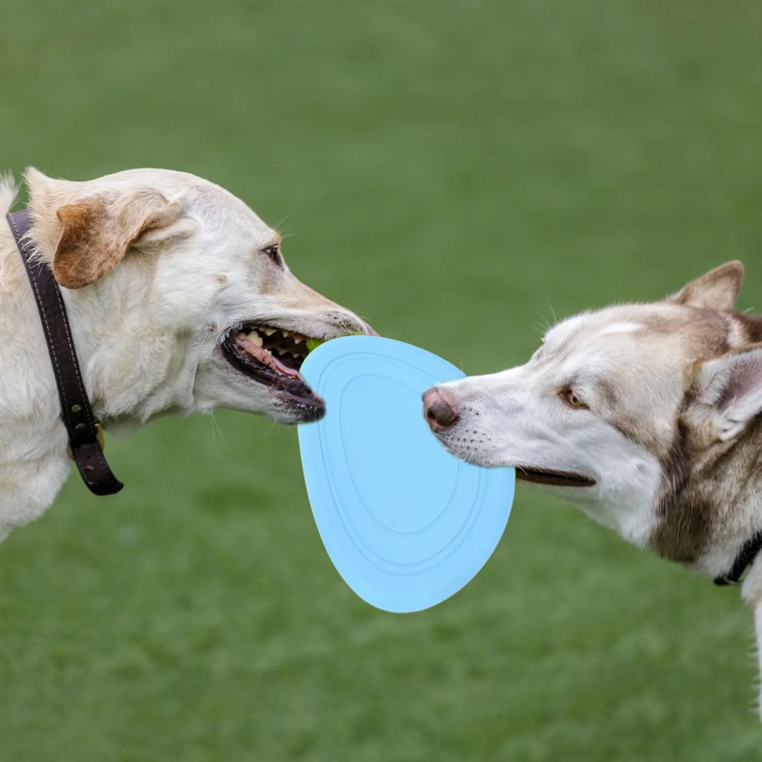 LIXIUHUI 6 szt. niezniszczalny pies frisbee zabawki treningowe, odporne na gryzienie frisbee, szkoleniowe zabawki dla zwierząt domowych, 100% nietoksyczne gumowe
