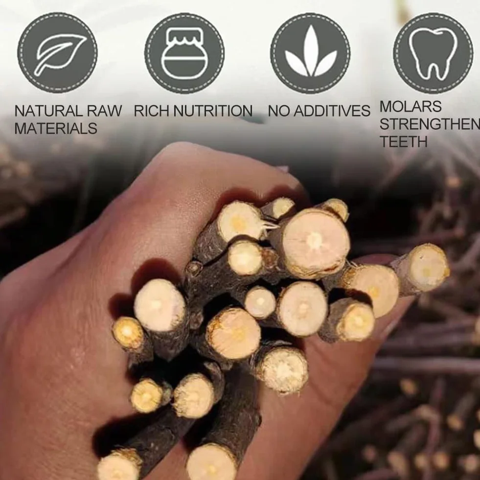 Pałeczki Jabłkowe 100% Naturalne, Zabawka Do Żucia dla Królika, Chomika, Papugi, 12 Sztuk