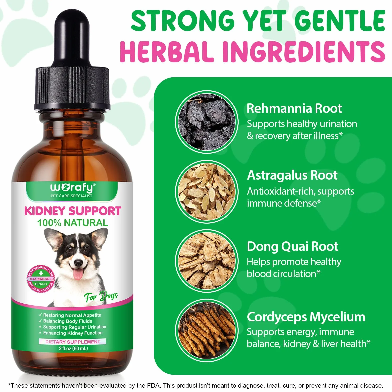 Pies Kidney Support Drops, 100% naturalne leczenie dróg moczowych dla psów, 60 ml, wspomaga czynność nerek