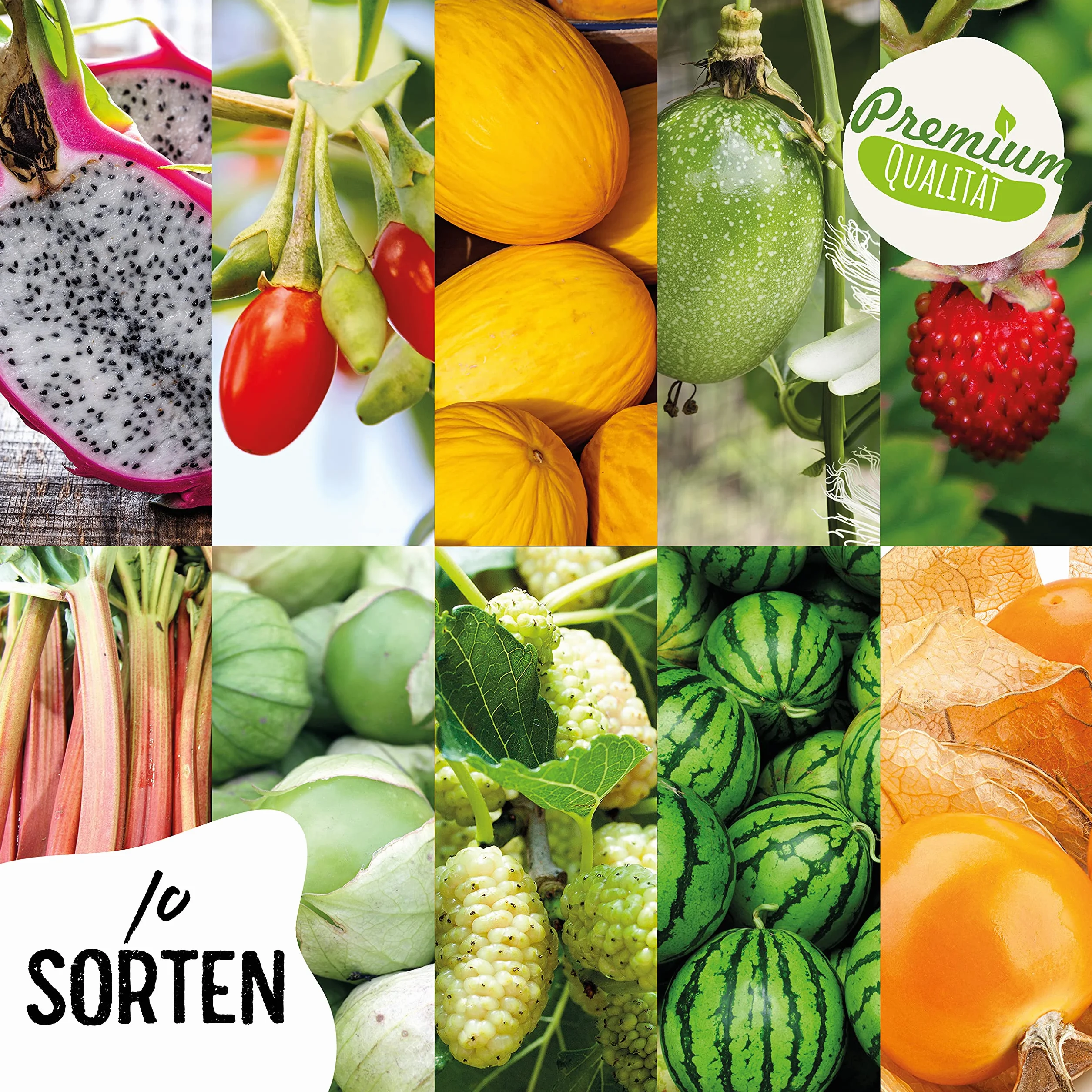 valeaf Obst Samen Set I 10 Sorten Obstsamen I Premium Saatgut Obst I Pflanzen Set inkl. Obst Samen I Erdbeersamen, Melonen Samen, Physalis, Drachenfrucht I Pflanzen Samen I ideales Samen Set Geschenk