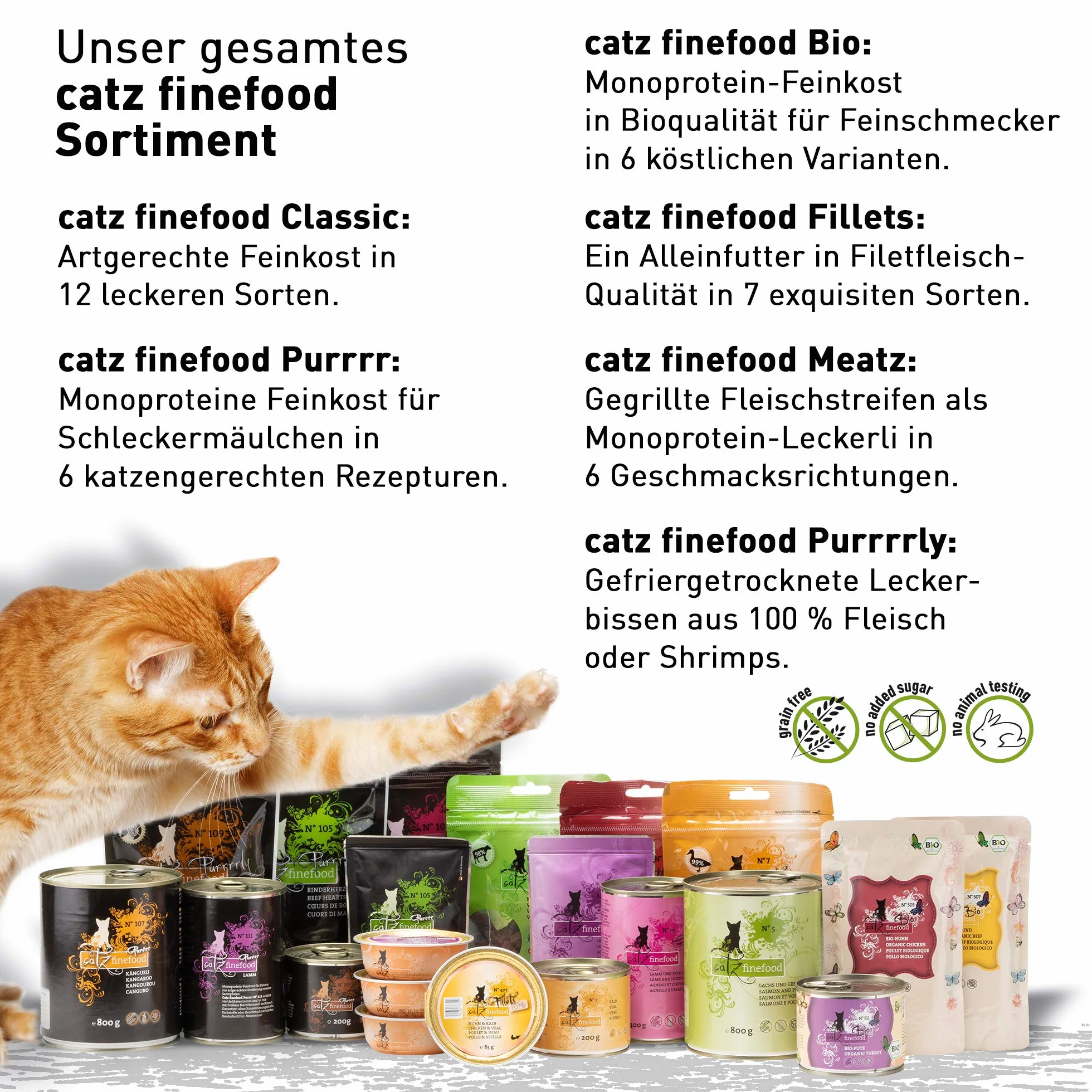 catz finefood Purrrr monoprotein karma dla kotów mokra nr 123, dla kotów wrażliwych na odżywianie, 70% zawartości mięsa, puszka 6 x 400 g