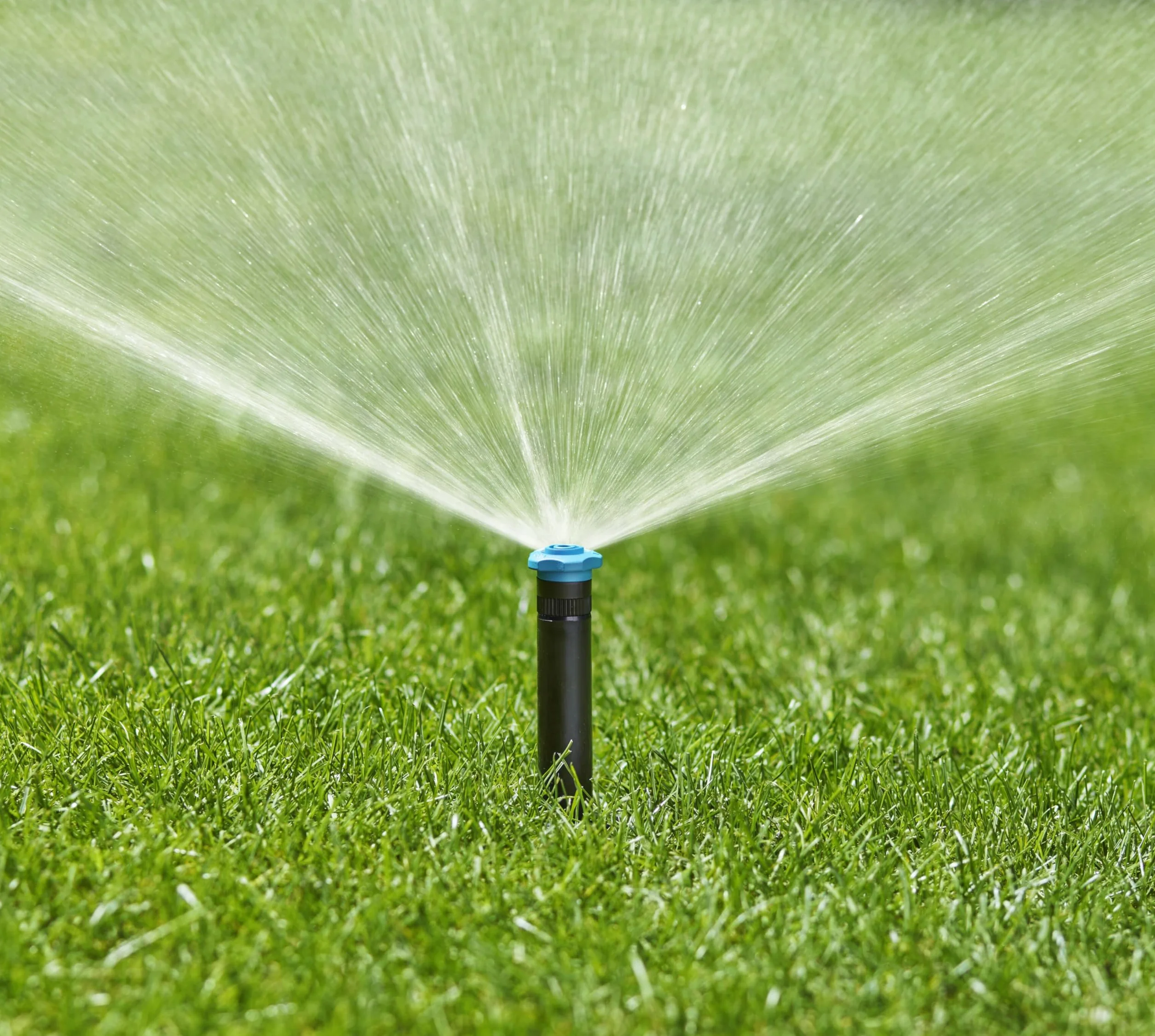 Gardena system tryskaczowy, wpuszczana deszczownica SD30: System nawadniania Pop Up do małych powierzchni trawników do 30 m², zasięg 1,5-3 m, z dyszą rozp., gwint wewn. 1/2 cala (8241-20)