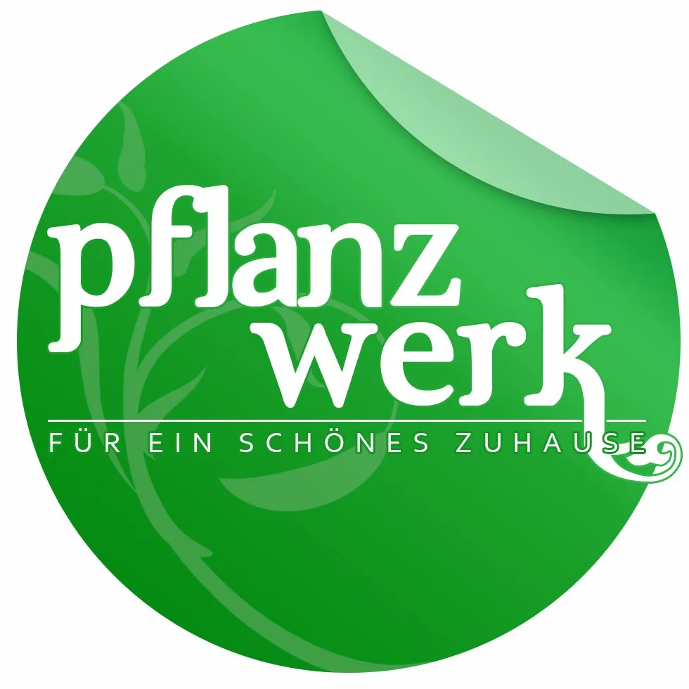 Pflanzwerk® Wkładka doniczki z tworzywa sztucznego do wszystkich modeli CUBE 38 x 44 x 44 cm siewnik *odporna na mróz* *produkty wysokiej jakości*