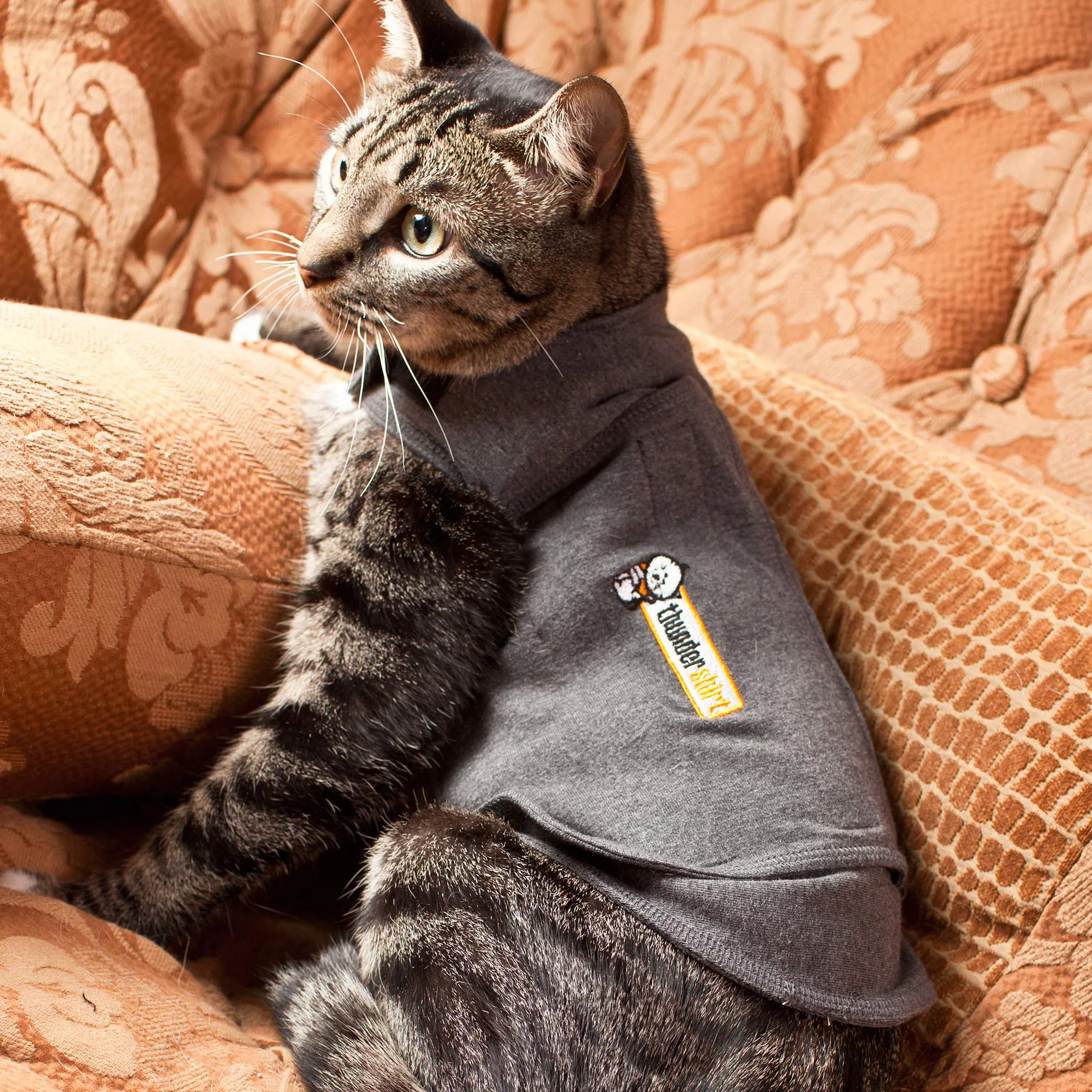 Thundershirt Dla kotów M