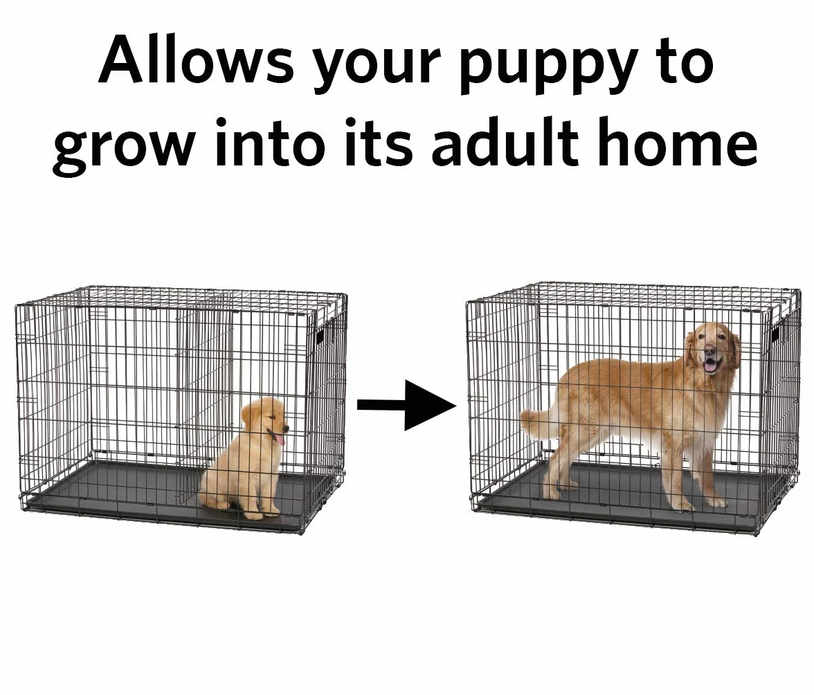 MidWest Homes for Pets Przegroda do skrzynek dla psów 91,44 cm 1536U 1536DDU 1636U 1636DDU B36 B36DD czarna