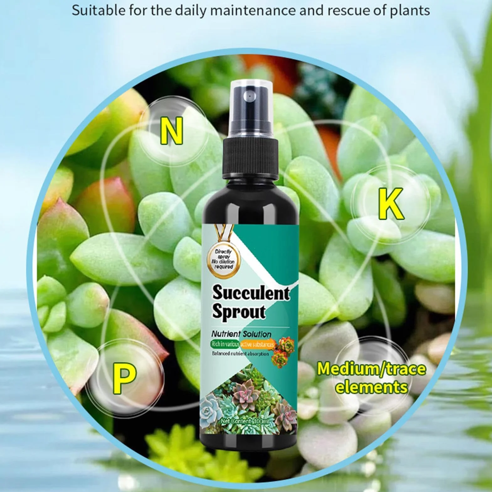 Nawóz Do Kaktusów | Stymulator Wzrostu Sadzonek Dla Sukulentów | 100ml Spray o Powolnym Uwalnianiu Wzmacniacz Kiełków do Wzrostu, Rozmnażania, Sadzenia i Przesadzania