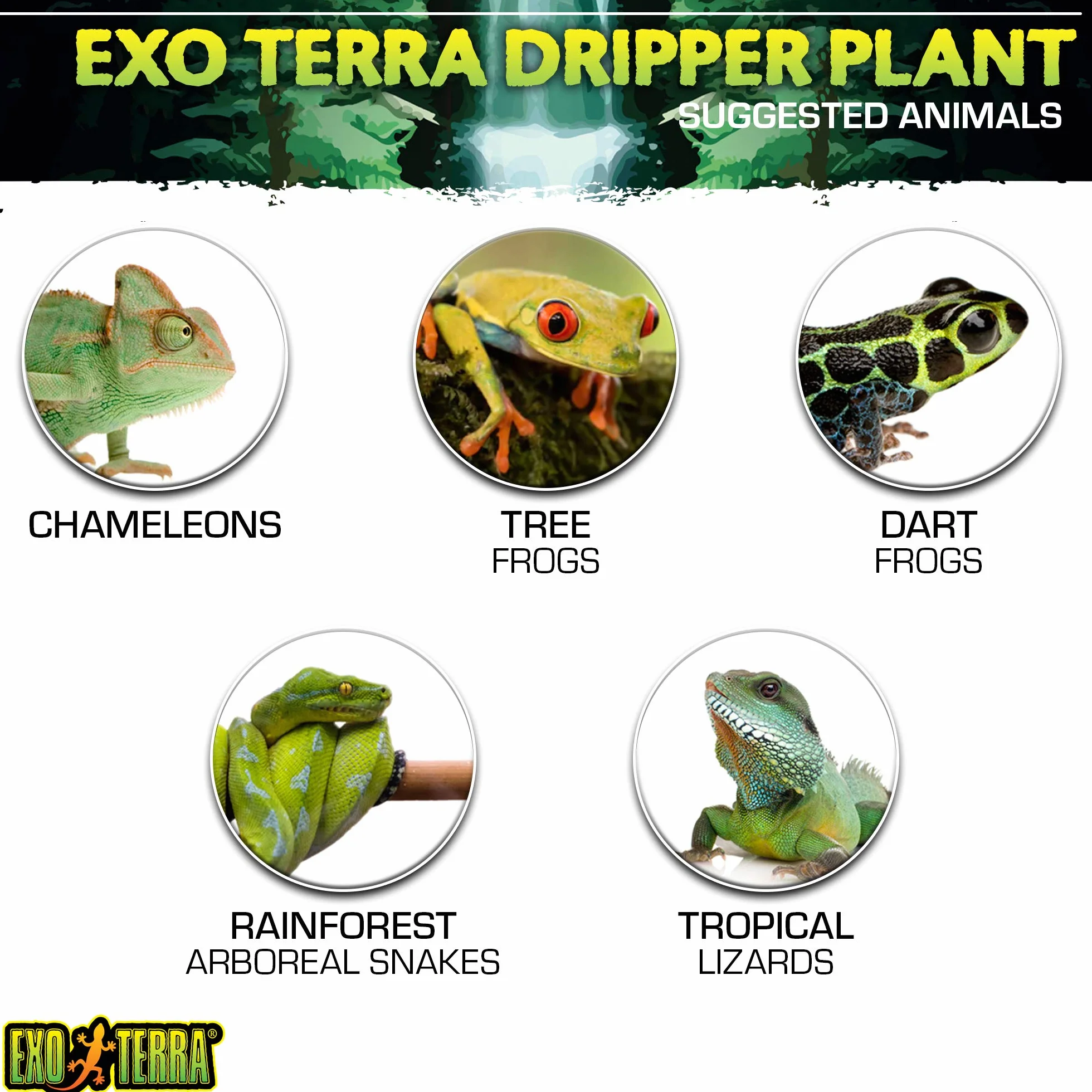 Exo Terra Roślina kapiąca duża z pompą zielona