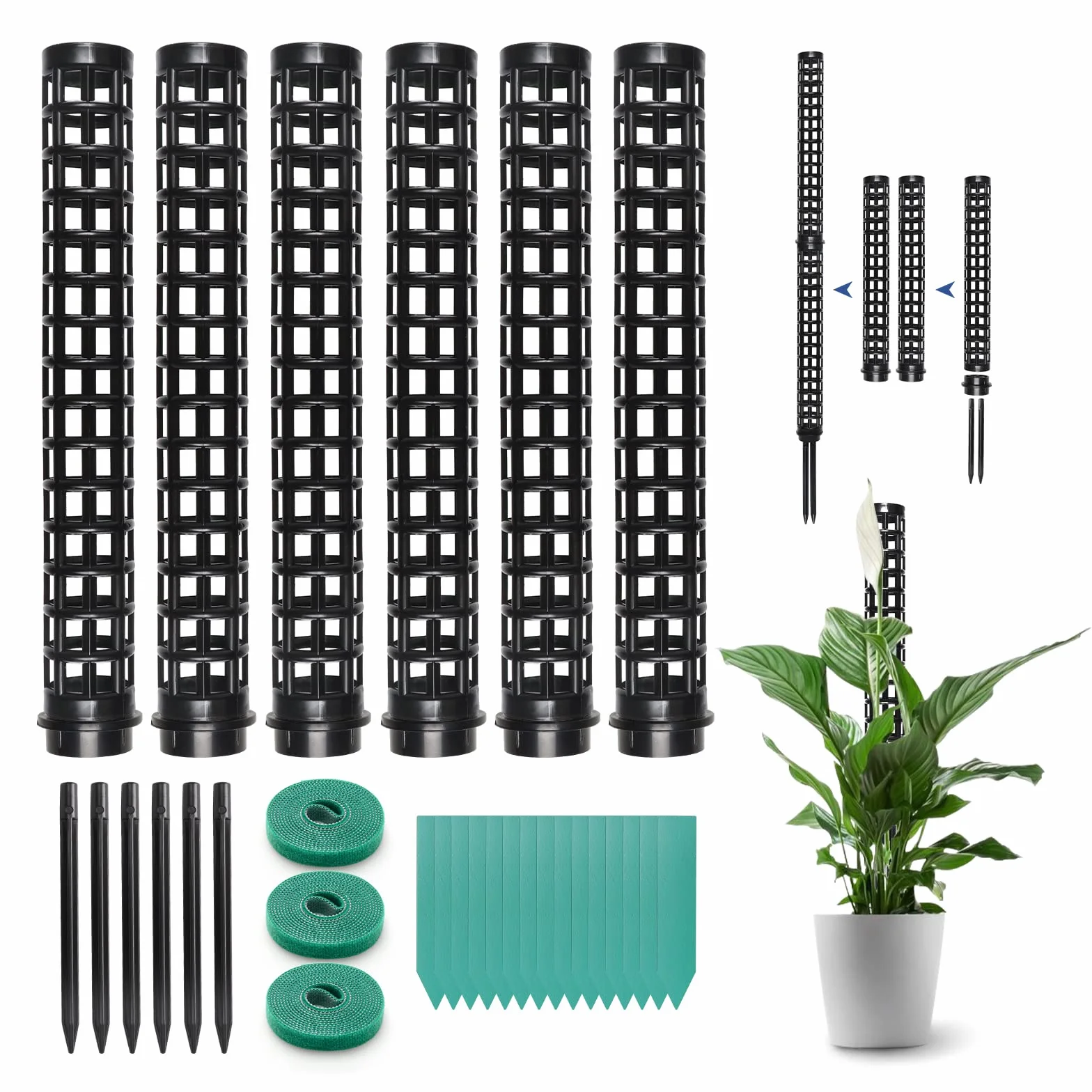 LangRay Muchowy słup do roślin pnących, monstera, wsporniki do roślin domowych, plastikowy kij do mchu, palik do ogrodu, pomoc w przedłużaniu, do wspinaczki, czarny (6 szt.)